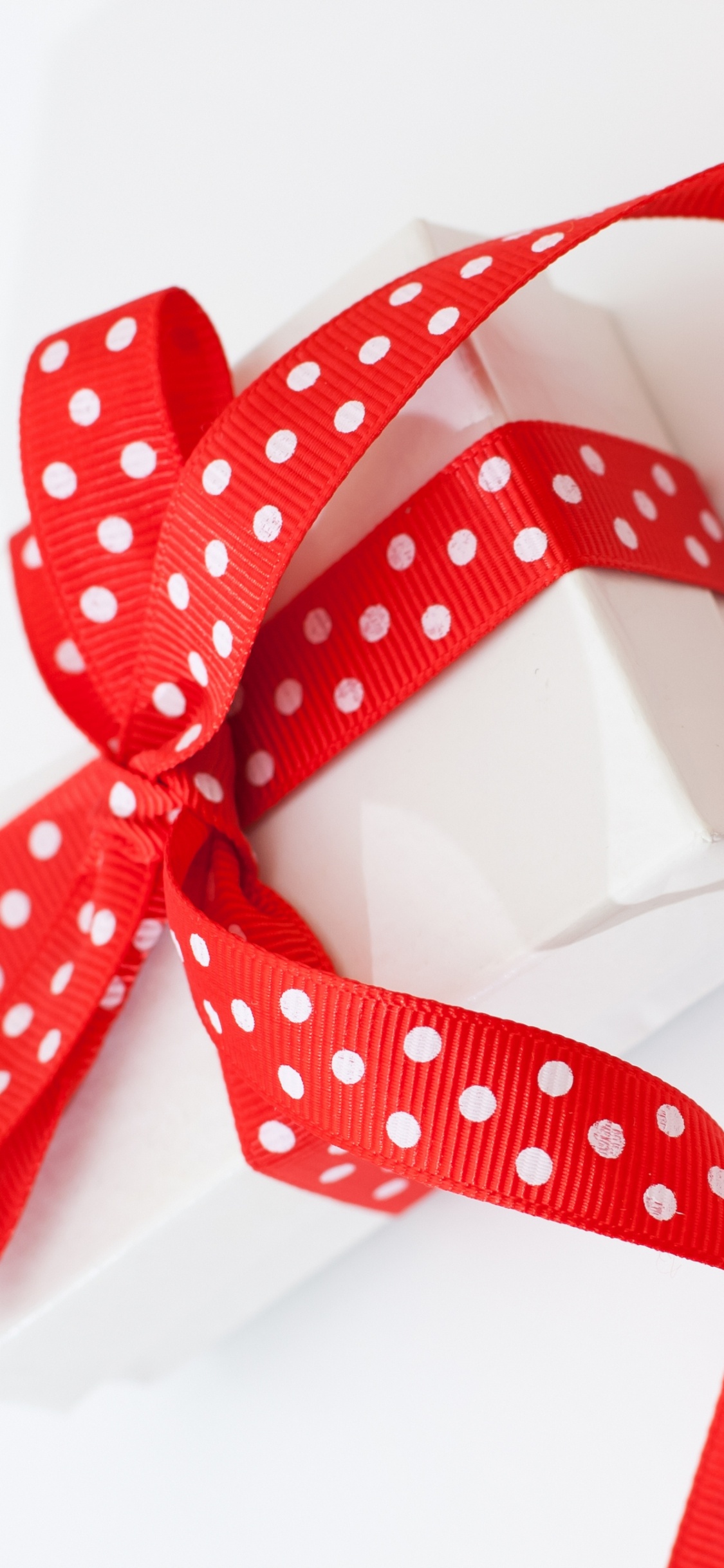 Обои День Святого Валентина, лента, красный цвет, модный аксессуар, галстук-бабочка в разрешении 1125x2436