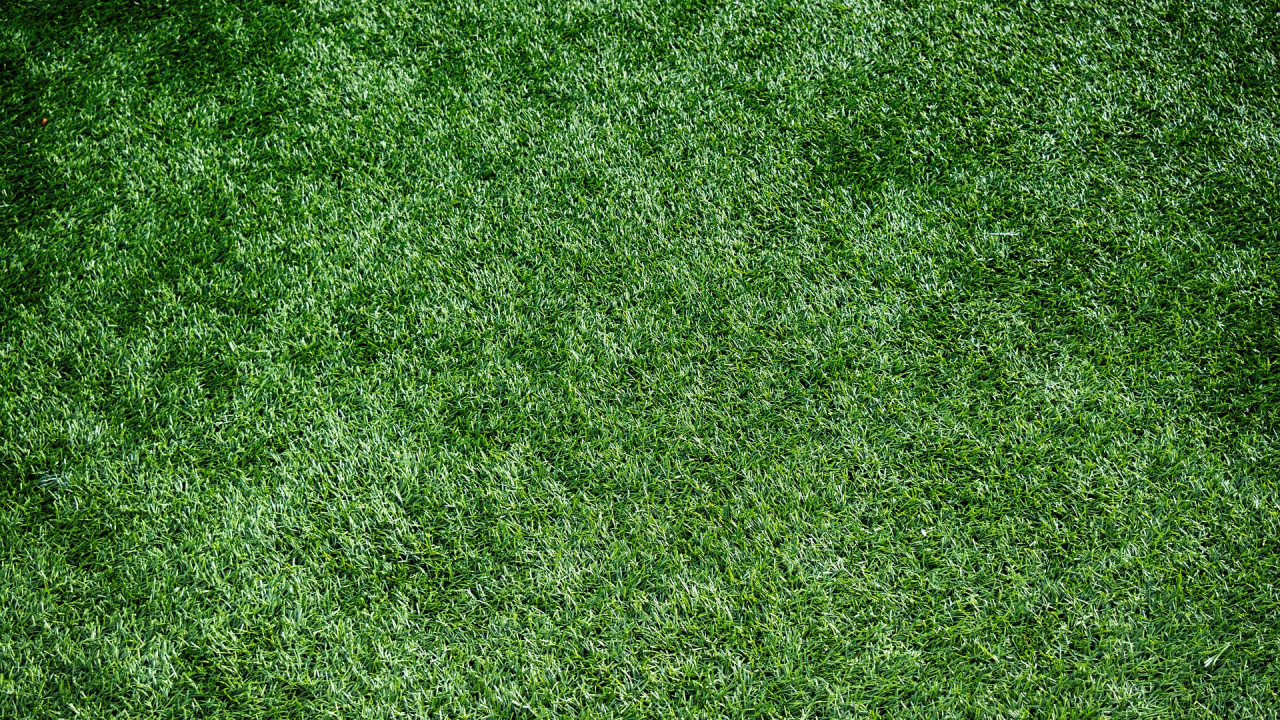 Обои газон, искусственное покрытие, зеленый, растительность, растение в разрешении 1280x720