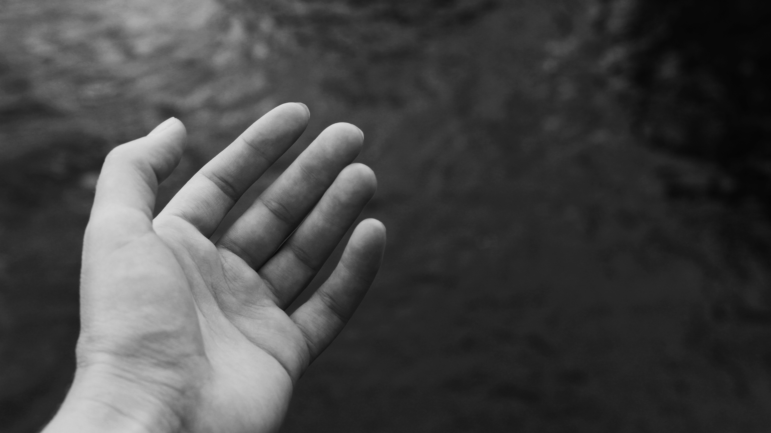 Обои черный, палец, кожа, рука, ноготь в разрешении 2560x1440