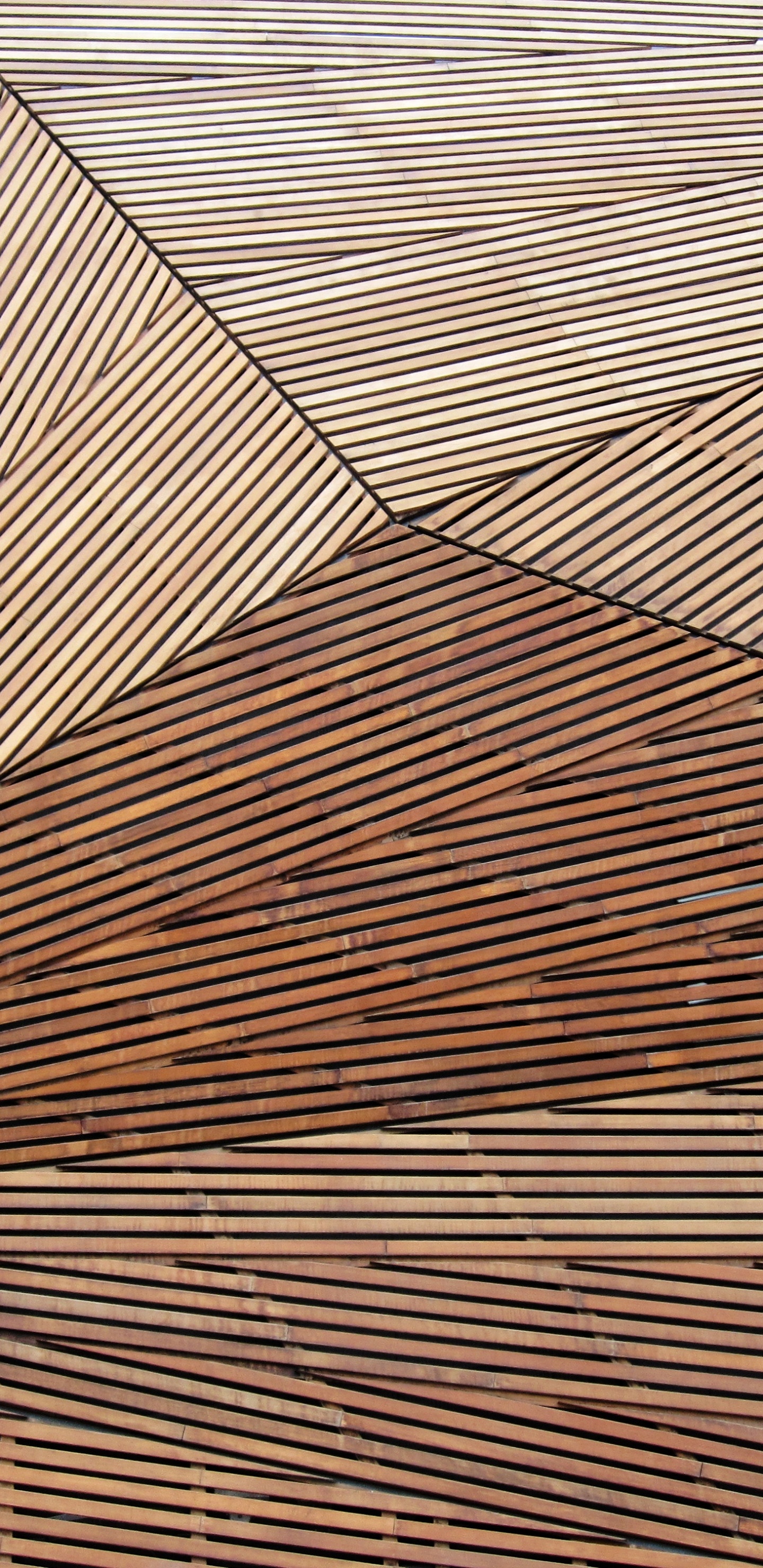 Обои древесина, текстура, узор, линия, симметрия в разрешении 1440x2960