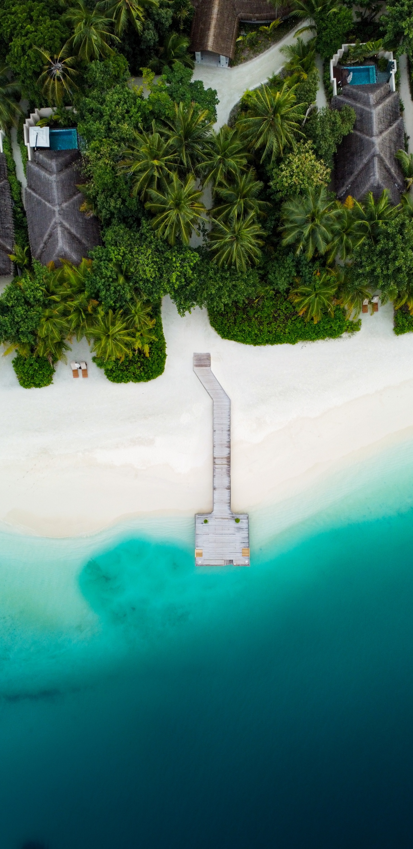 Обои пейзаж, вода, гидроресурсы, дерево, растение в разрешении 1440x2960