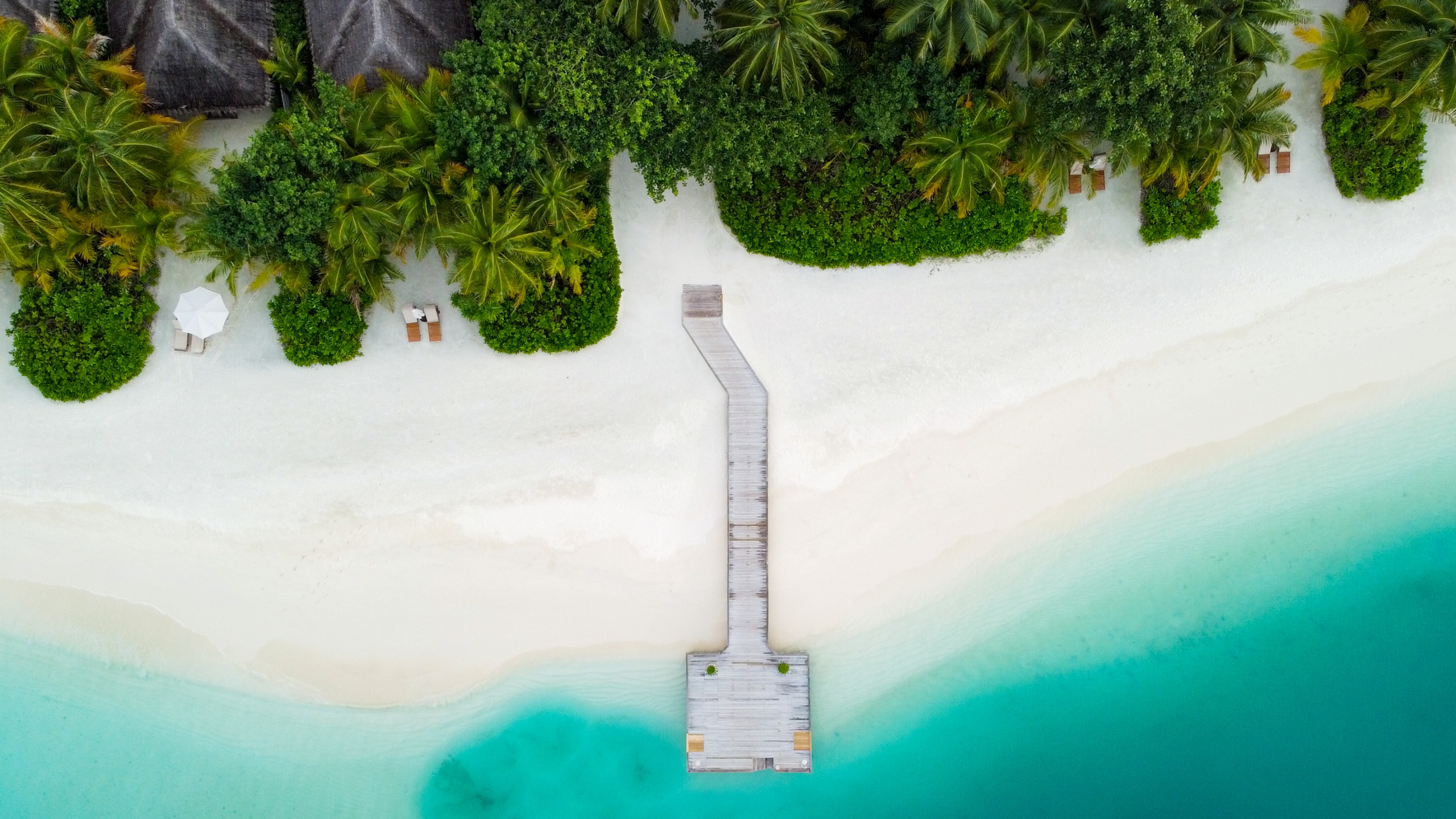 Обои пейзаж, вода, гидроресурсы, дерево, растение в разрешении 2560x1440