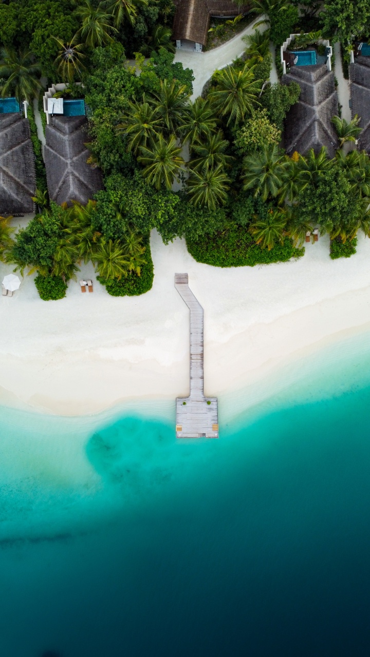 Обои пейзаж, вода, гидроресурсы, дерево, растение в разрешении 720x1280