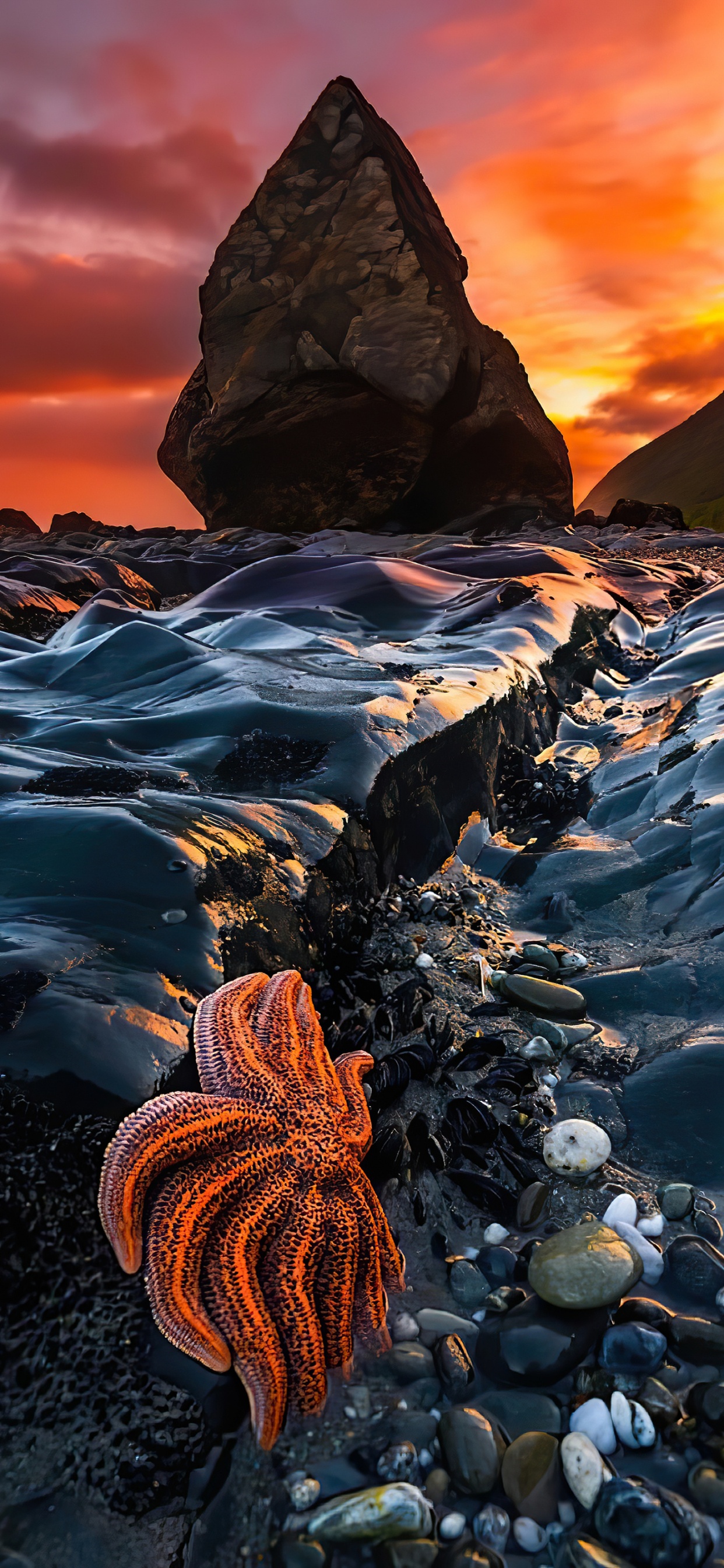 Обои свет, мир, гора, облако, окружающая среда в разрешении 1242x2688