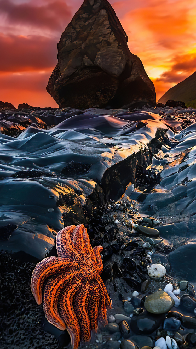 Обои свет, мир, гора, облако, окружающая среда в разрешении 750x1334