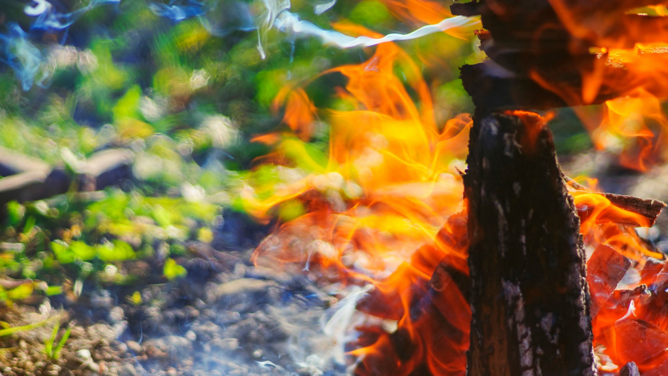 Обои вода, огонь, костер, дерево, солнечный свет в разрешении 1366x768