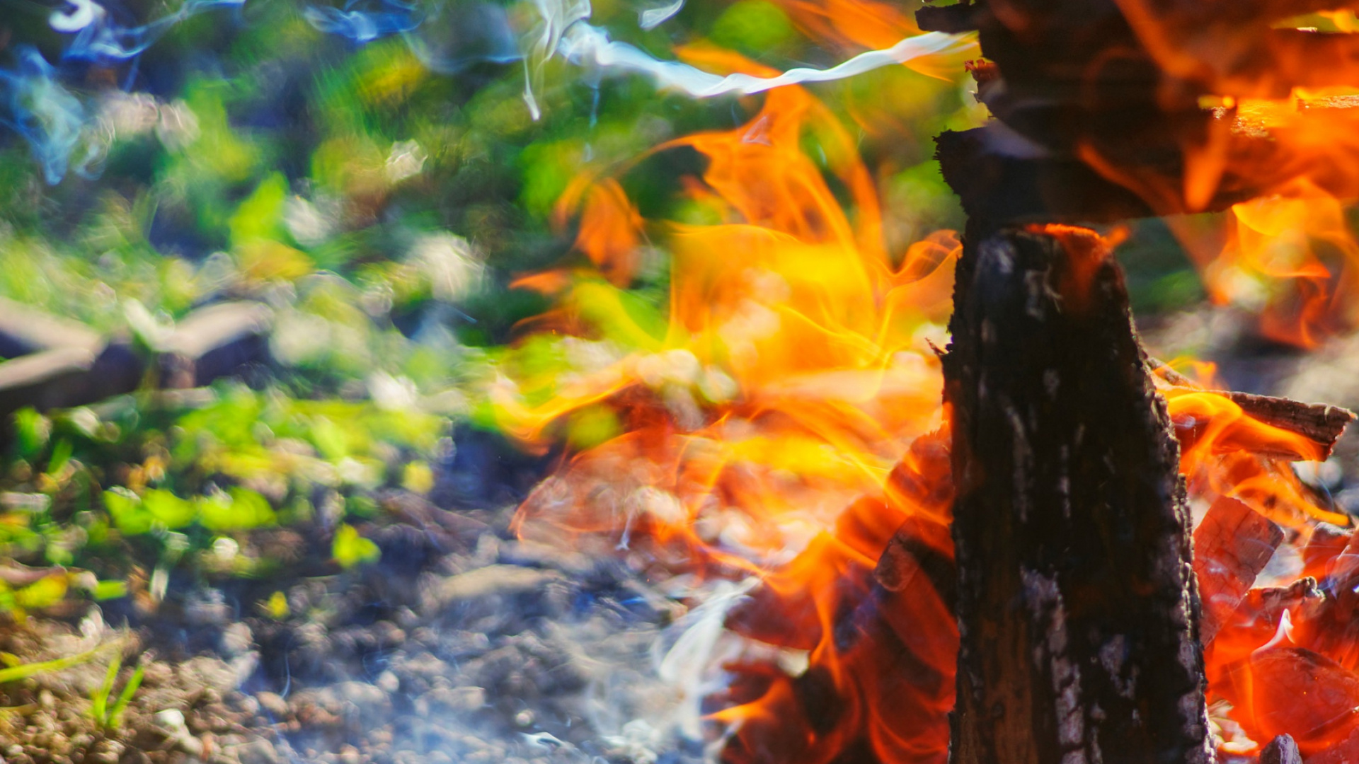 Обои вода, огонь, костер, дерево, солнечный свет в разрешении 1920x1080