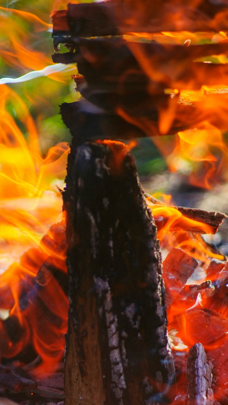 Обои вода, огонь, костер, дерево, солнечный свет в разрешении 750x1334