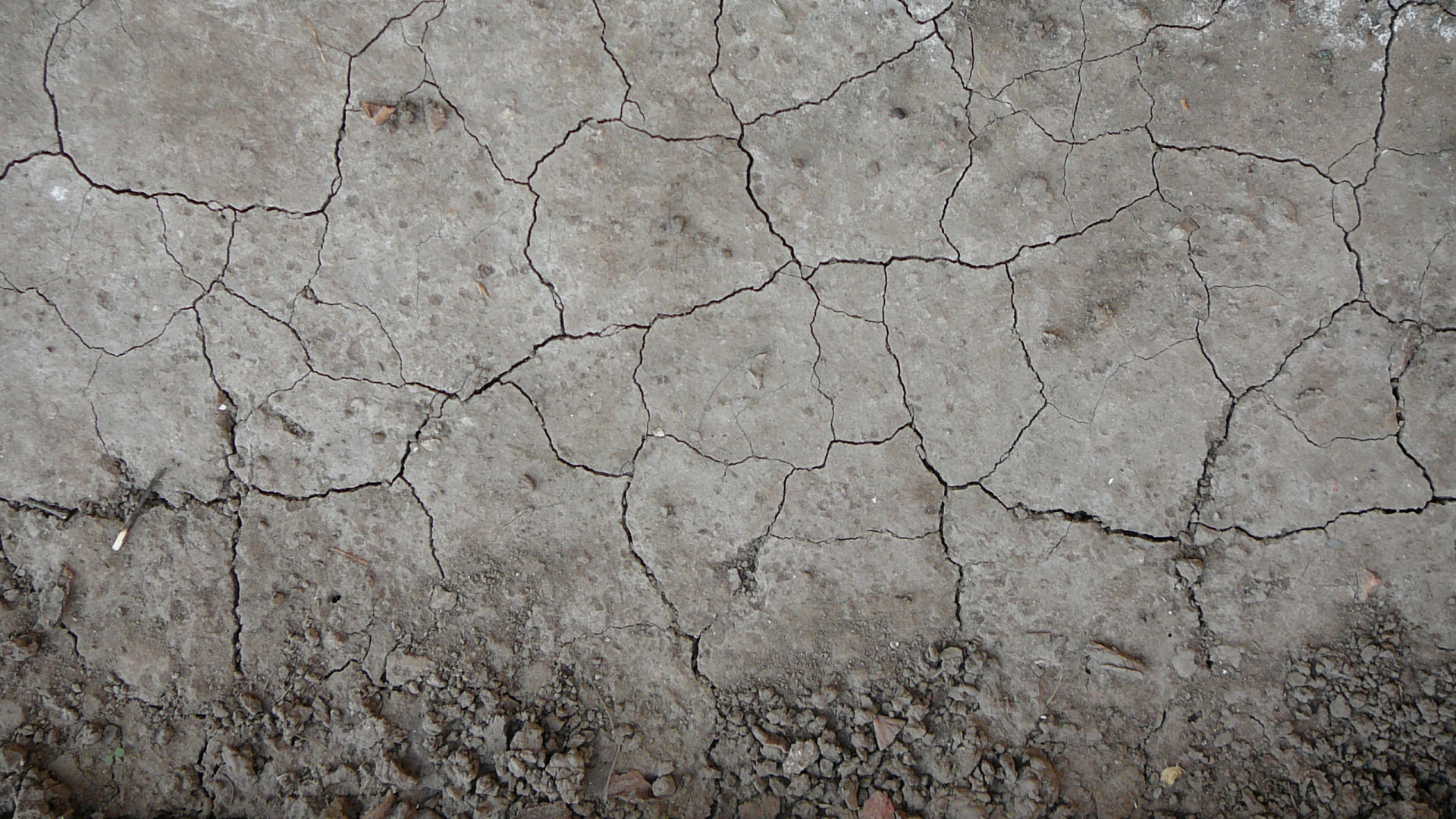 Обои почва, текстура, стена, бетон, рок в разрешении 1920x1080