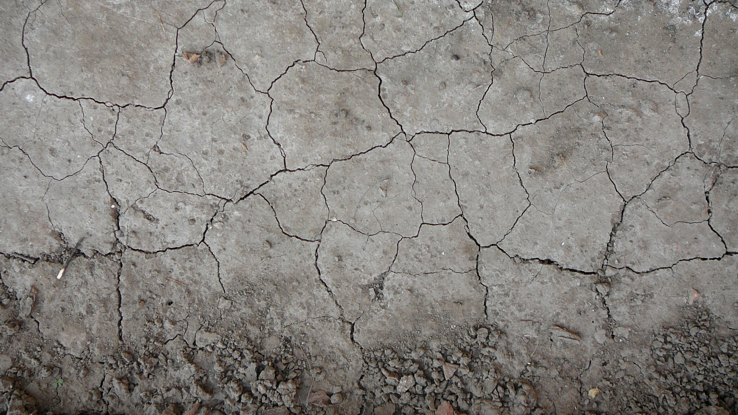 Обои почва, текстура, стена, бетон, рок в разрешении 2560x1440