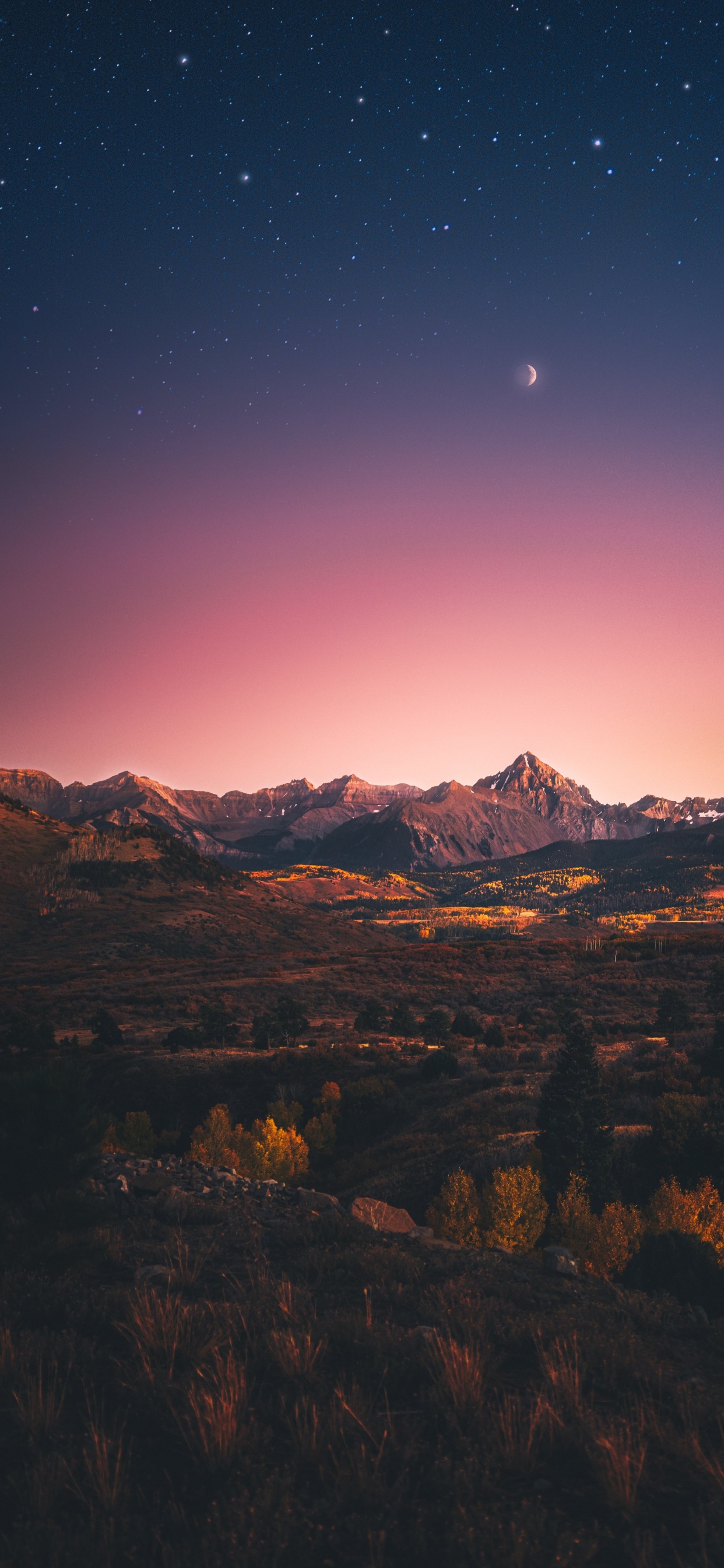 Обои атмосфера, экорегион, природный ландшафт, послесвечение, растение в разрешении 1242x2688