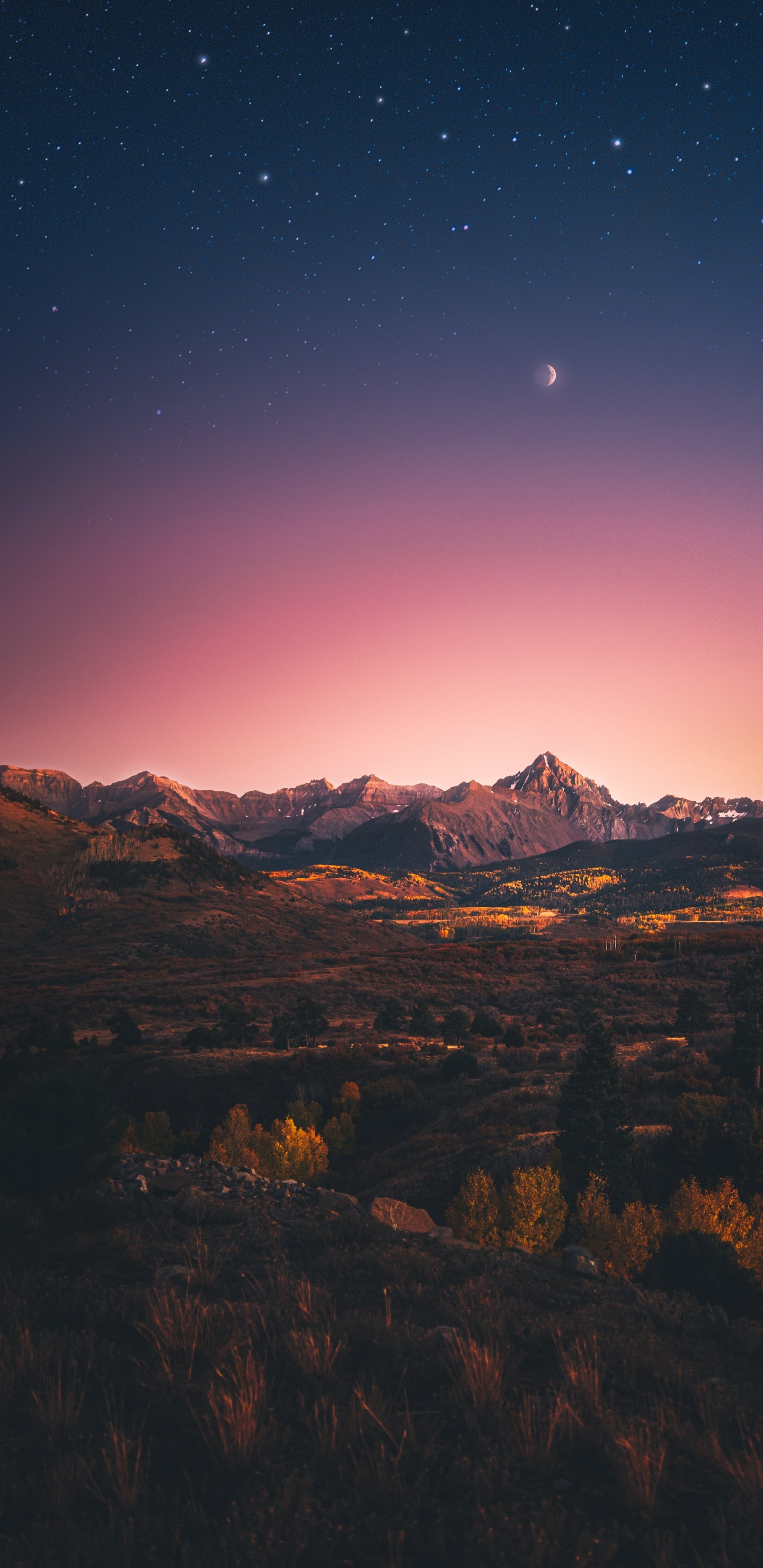 Обои атмосфера, экорегион, природный ландшафт, послесвечение, растение в разрешении 1440x2960