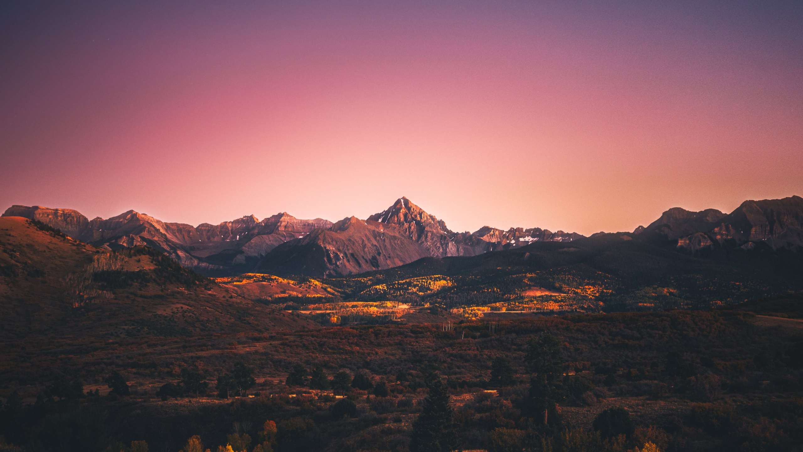 Обои атмосфера, экорегион, природный ландшафт, послесвечение, растение в разрешении 2560x1440