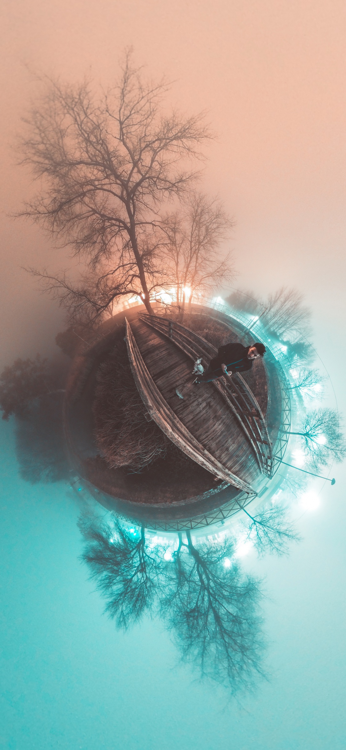 Обои глаз, растение, уличный фонарь, прут, дерево в разрешении 1125x2436