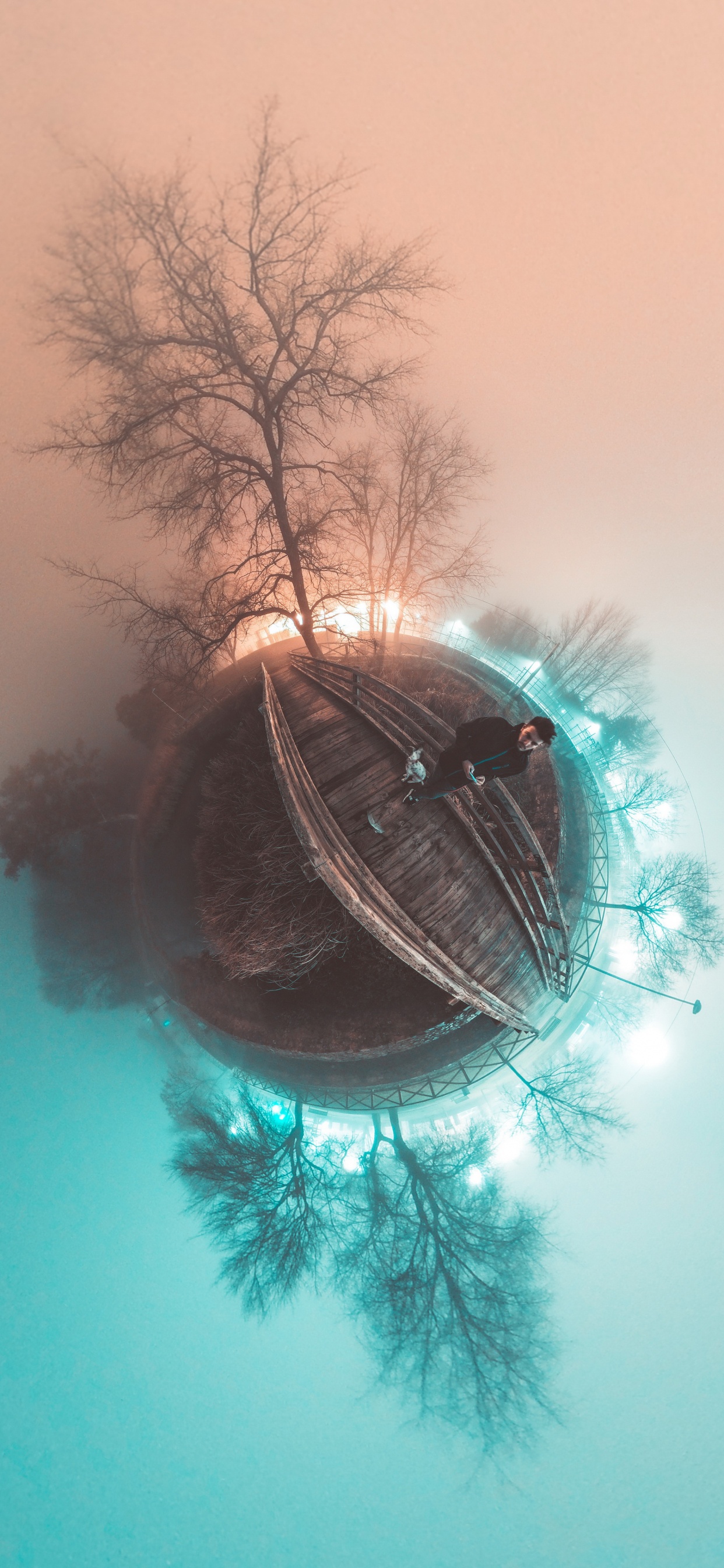 Обои глаз, растение, уличный фонарь, прут, дерево в разрешении 1242x2688