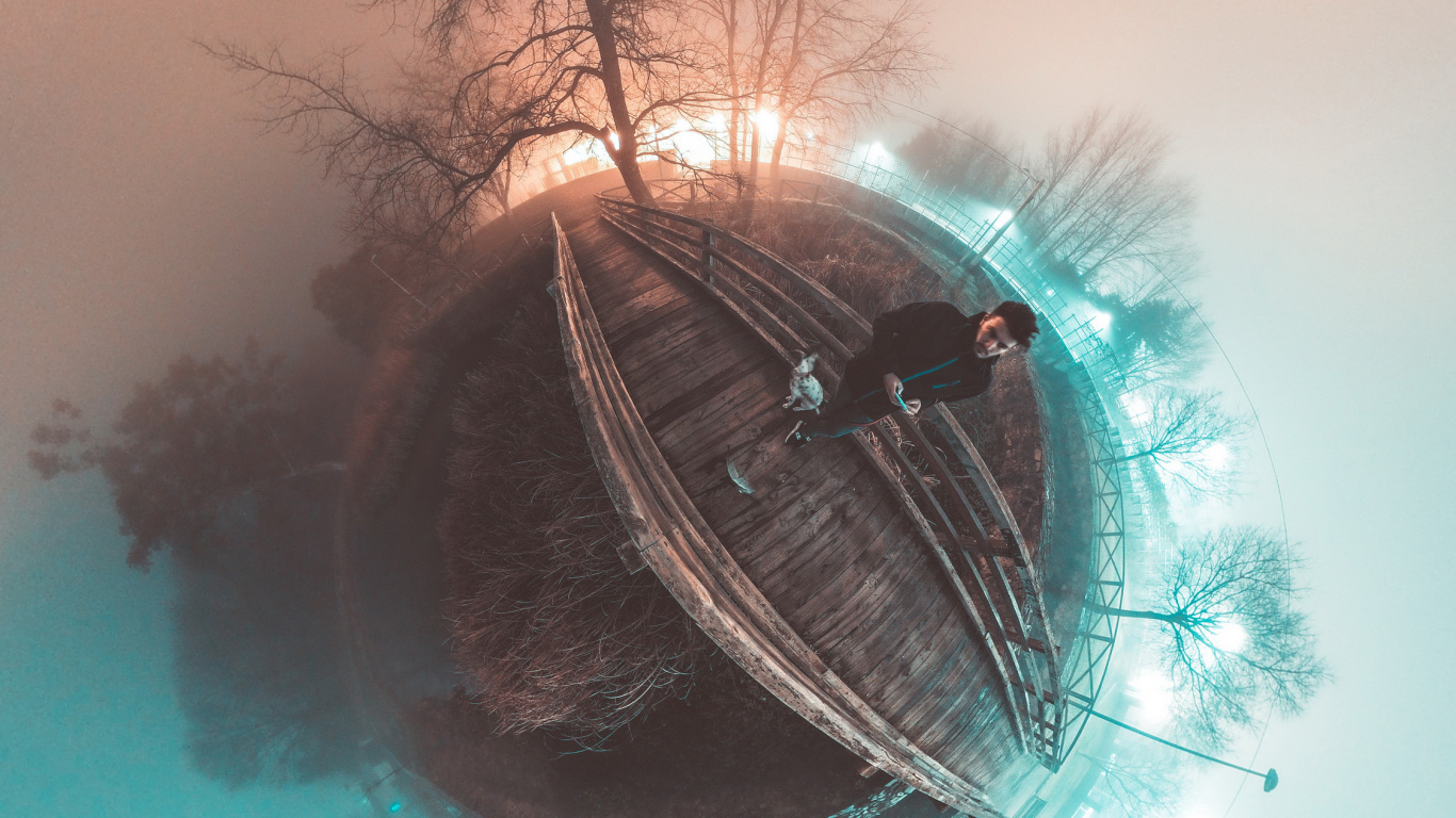 Обои глаз, растение, уличный фонарь, прут, дерево в разрешении 1366x768