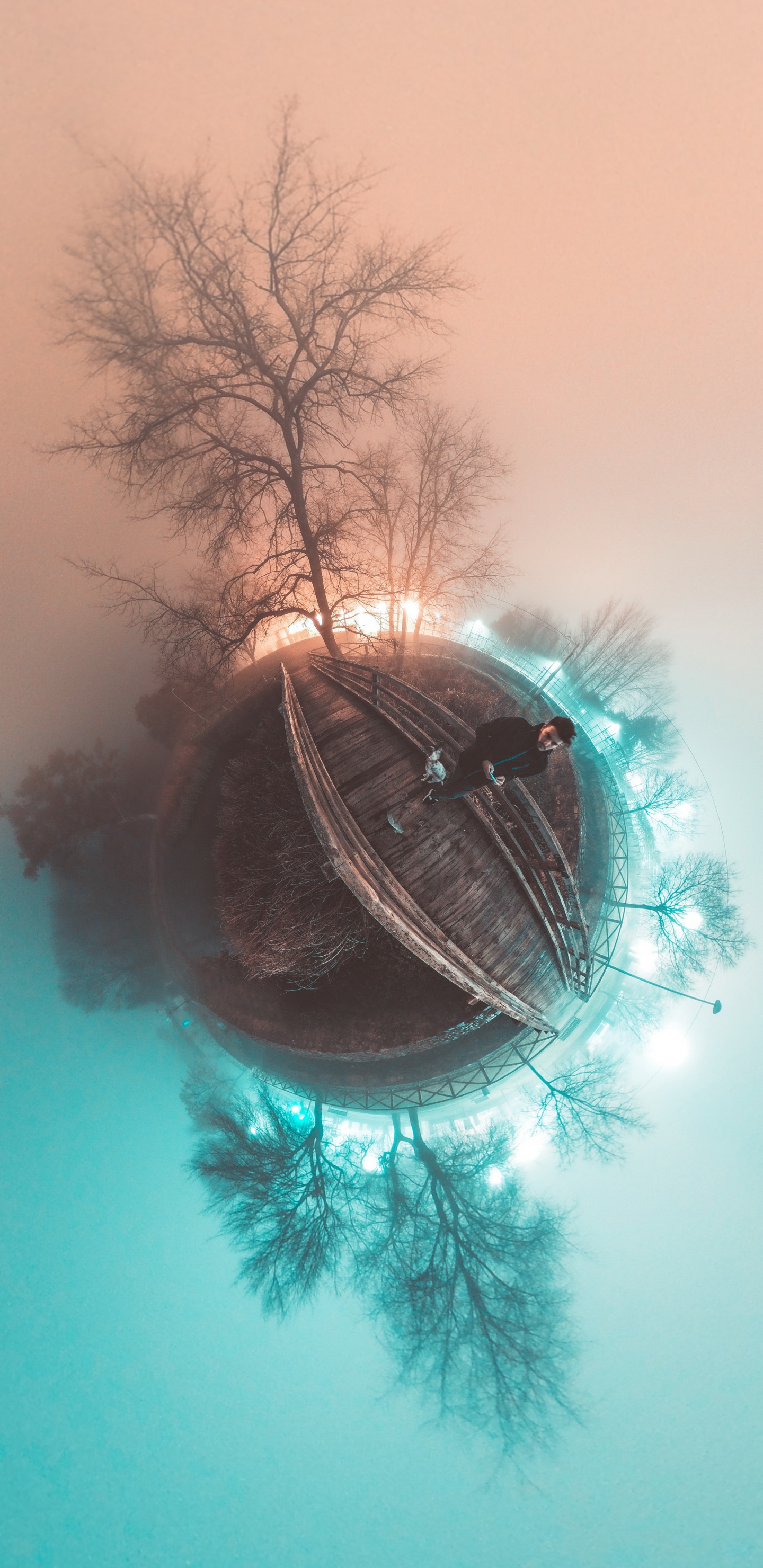 Обои глаз, растение, уличный фонарь, прут, дерево в разрешении 1440x2960