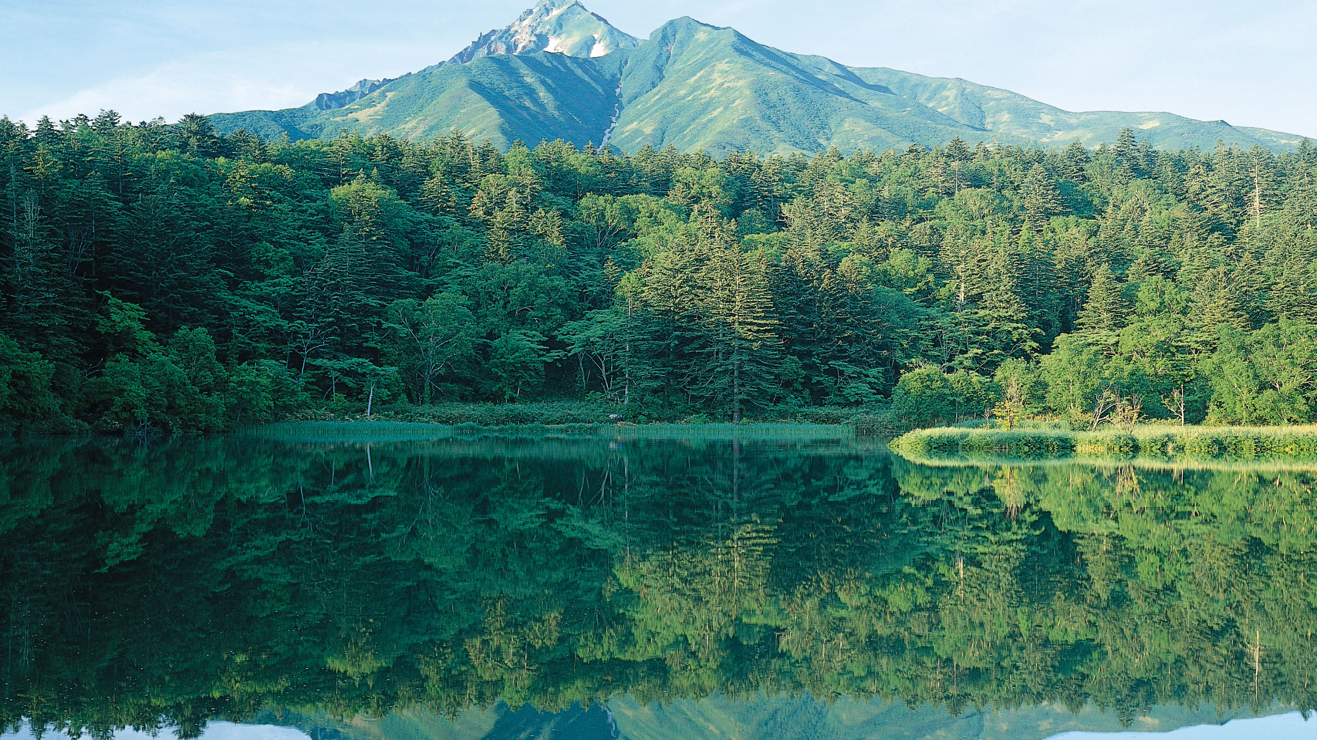 Обои отражение, природа, вода, гидроресурсы, озеро в разрешении 2560x1440