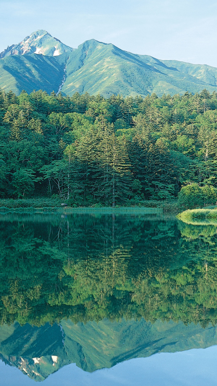 Обои отражение, природа, вода, гидроресурсы, озеро в разрешении 750x1334