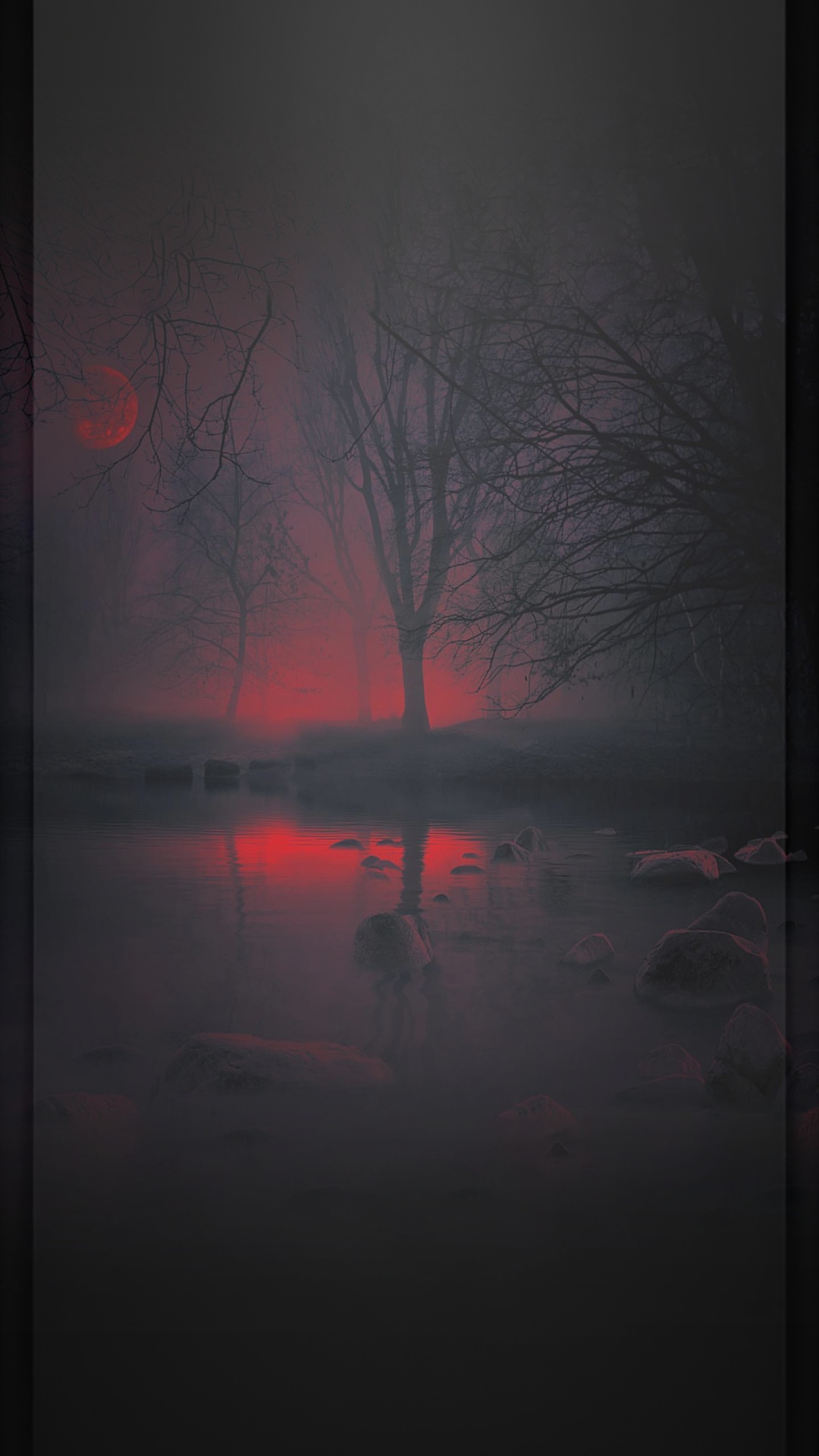 Обои отражение, визуальное искусство, атмосфера, ветвь, послесвечение в разрешении 1080x1920