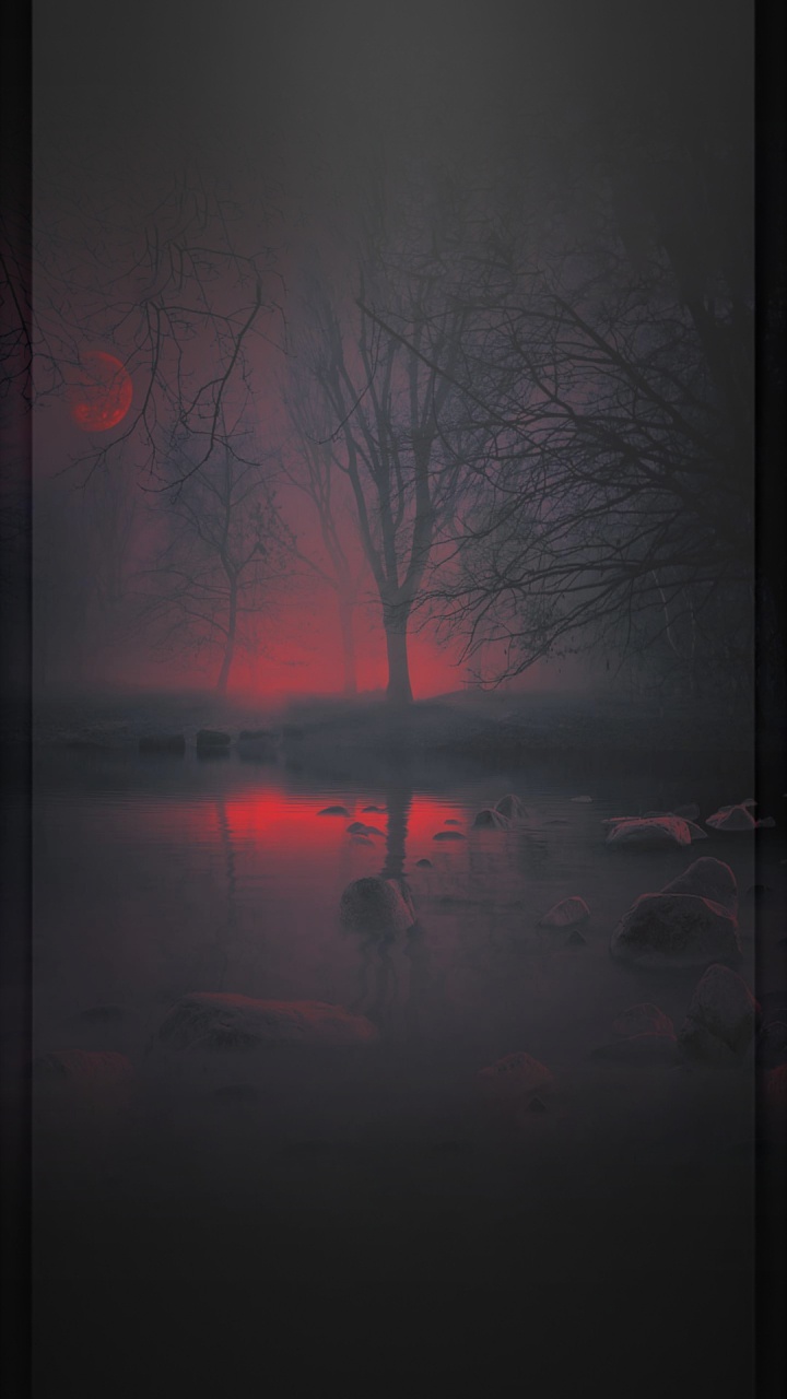 Обои отражение, визуальное искусство, атмосфера, ветвь, послесвечение в разрешении 720x1280