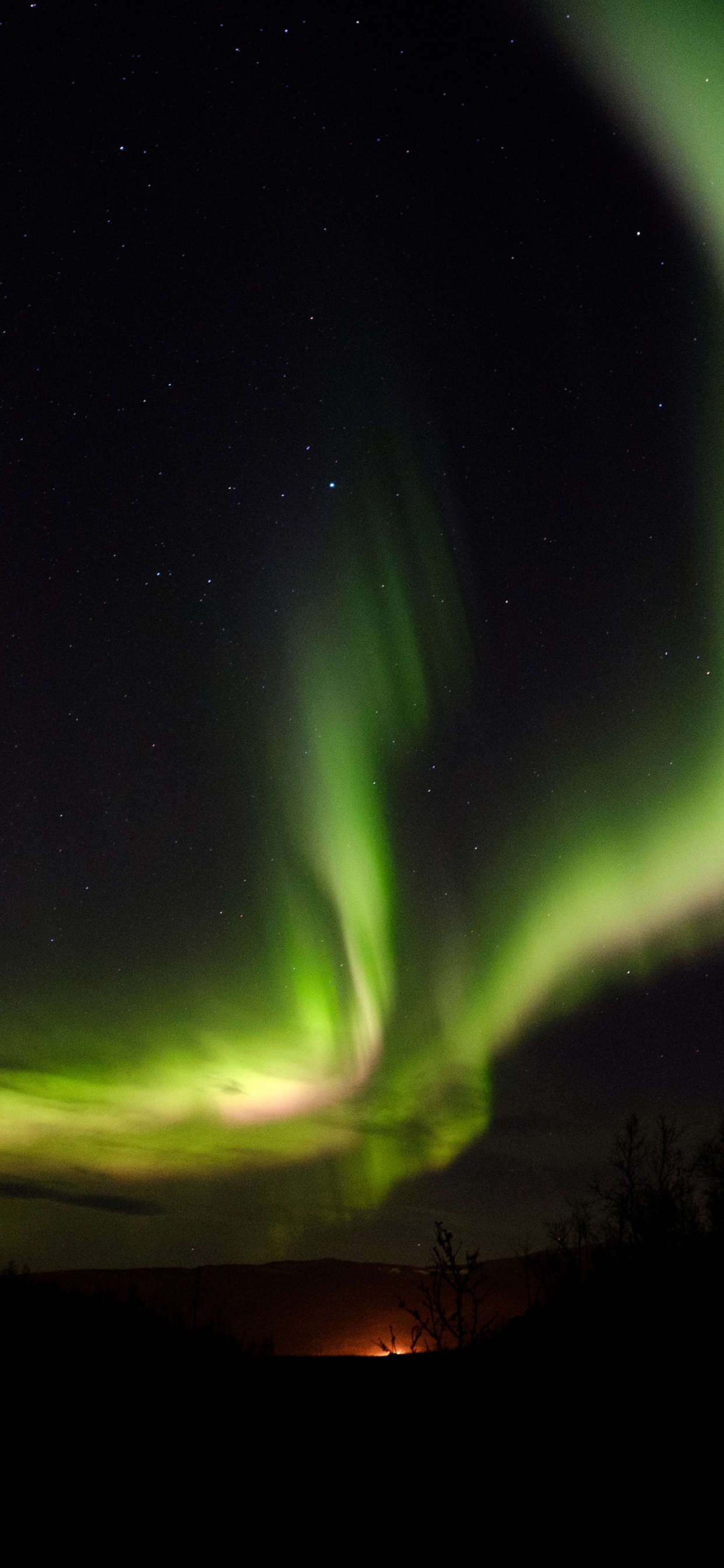Обои вода, природа, ночное небо, атмосфера, зеленый в разрешении 1242x2688