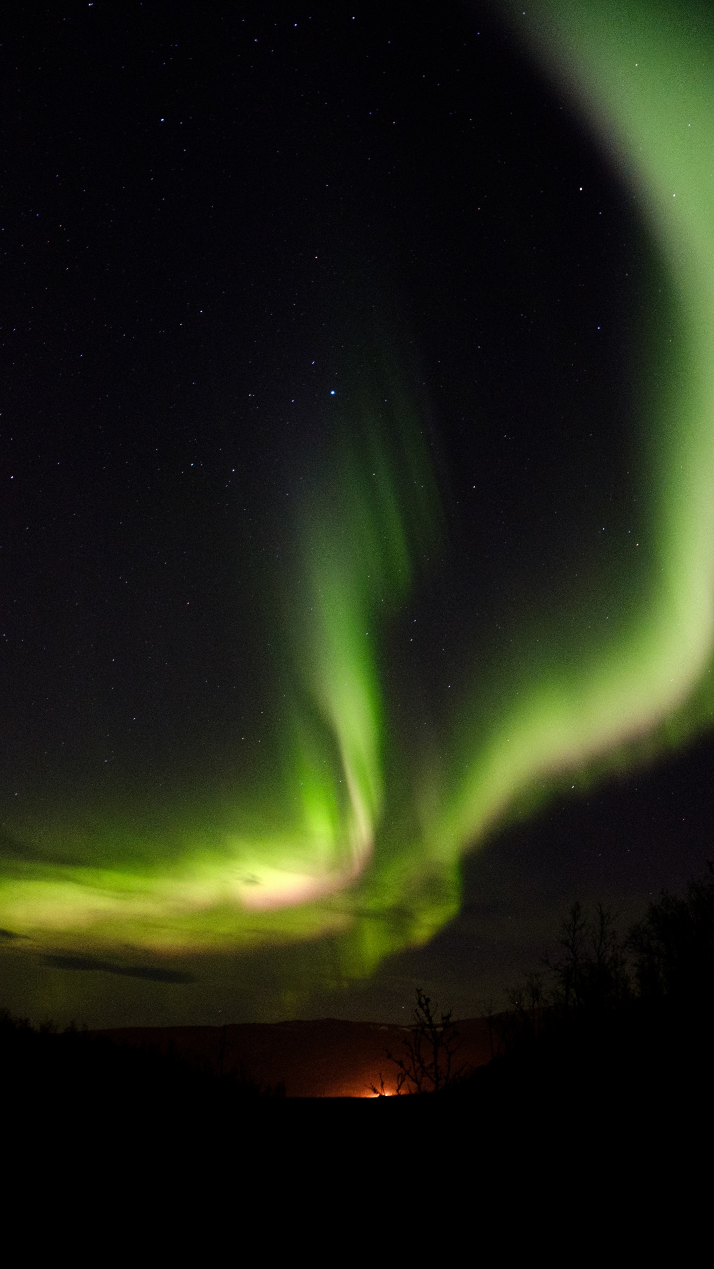 Обои вода, природа, ночное небо, атмосфера, зеленый в разрешении 1440x2560