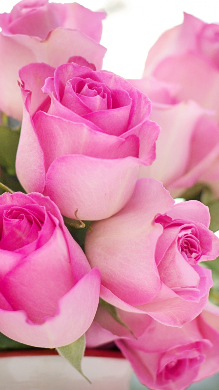 Обои Роза, цветок, цветочный букет, розовый, флористика в разрешении 750x1334