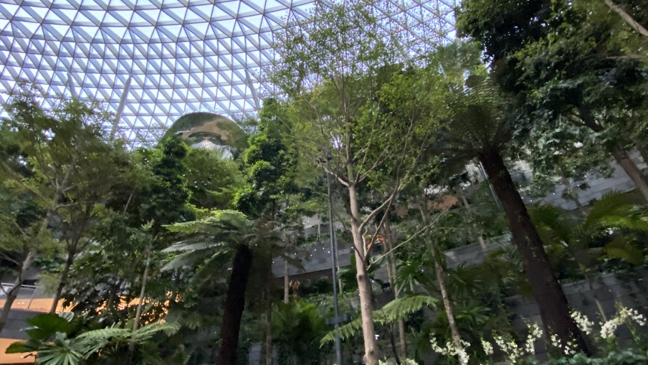 Обои китайский павильон на выставке expo 2010, ограждать провода, ячейка, звено цепи ограждая, сад в разрешении 1280x720