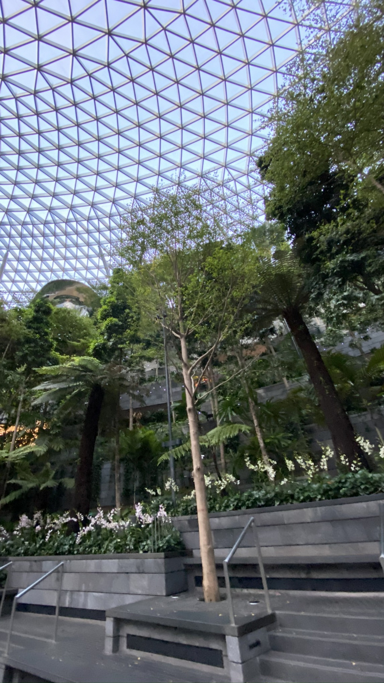 Обои китайский павильон на выставке expo 2010, ограждать провода, ячейка, звено цепи ограждая, сад в разрешении 750x1334