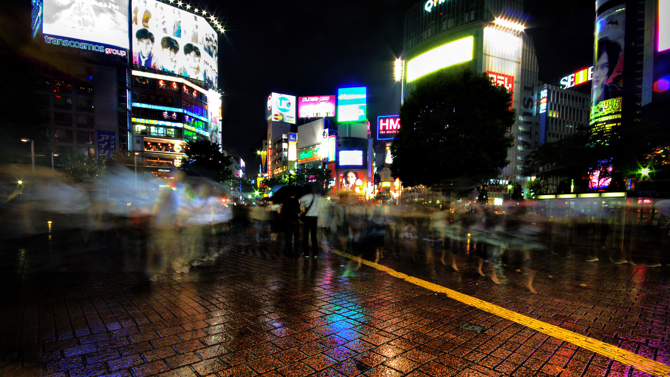 Обои Шибуйя, ночь, городской район, метрополия, отражение в разрешении 2560x1440