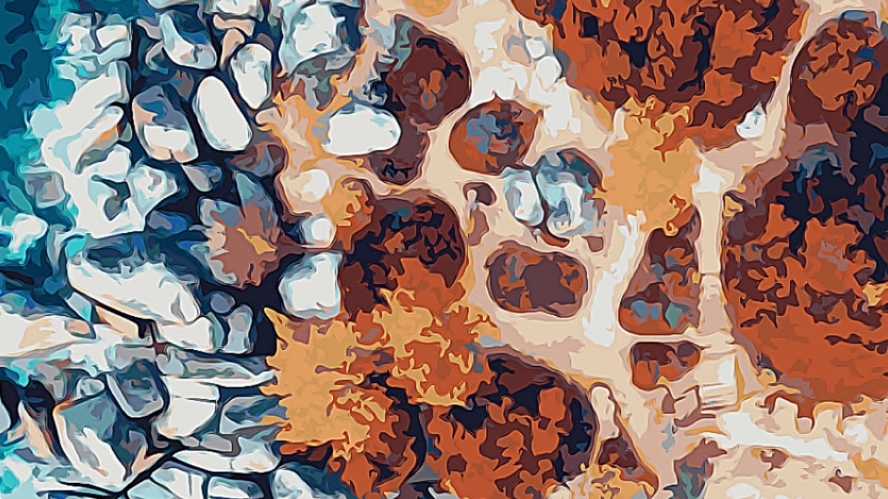 Обои Google, Google Pixel 4, вода, пиксель 4, синий в разрешении 1280x720