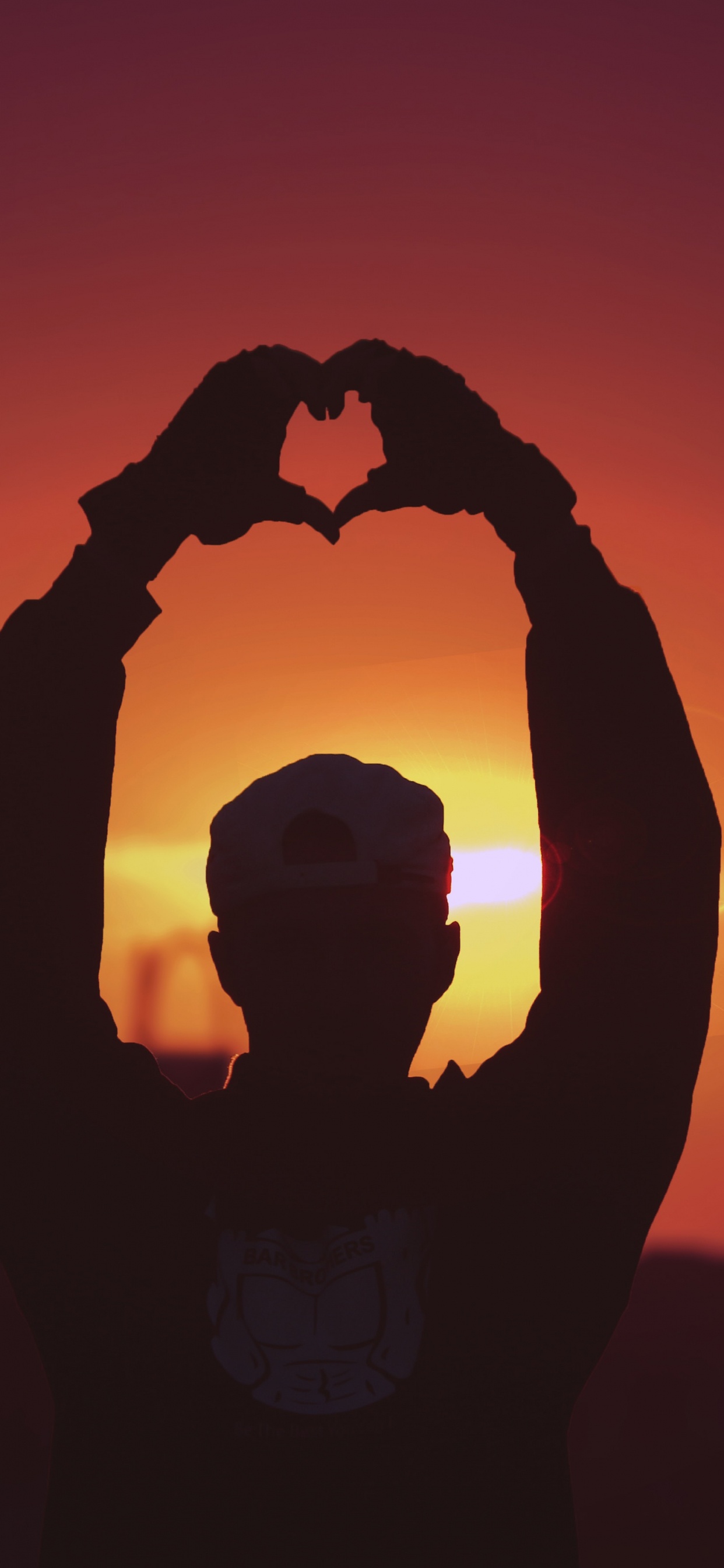 Обои закат, тепло, силуэт, восход солнца, подсветка в разрешении 1242x2688