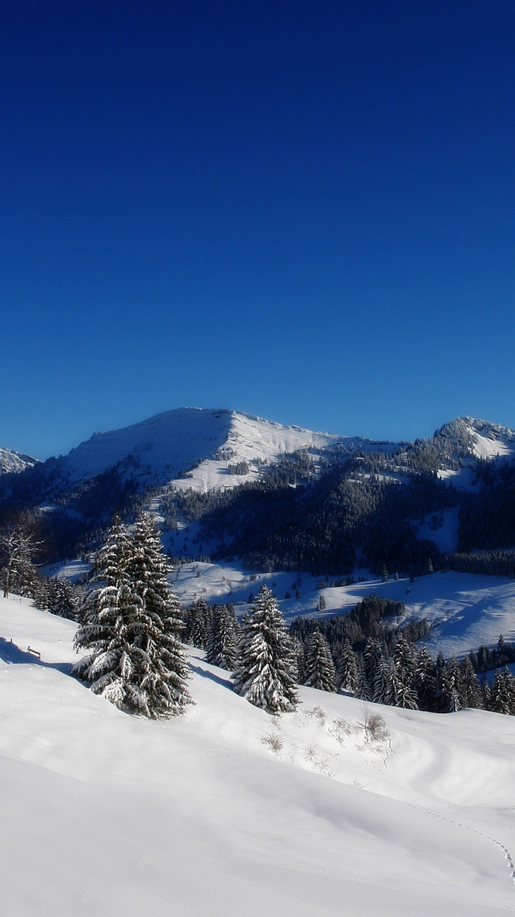 Обои зима, снег, гора, горный рельеф, горный хребет в разрешении 750x1334