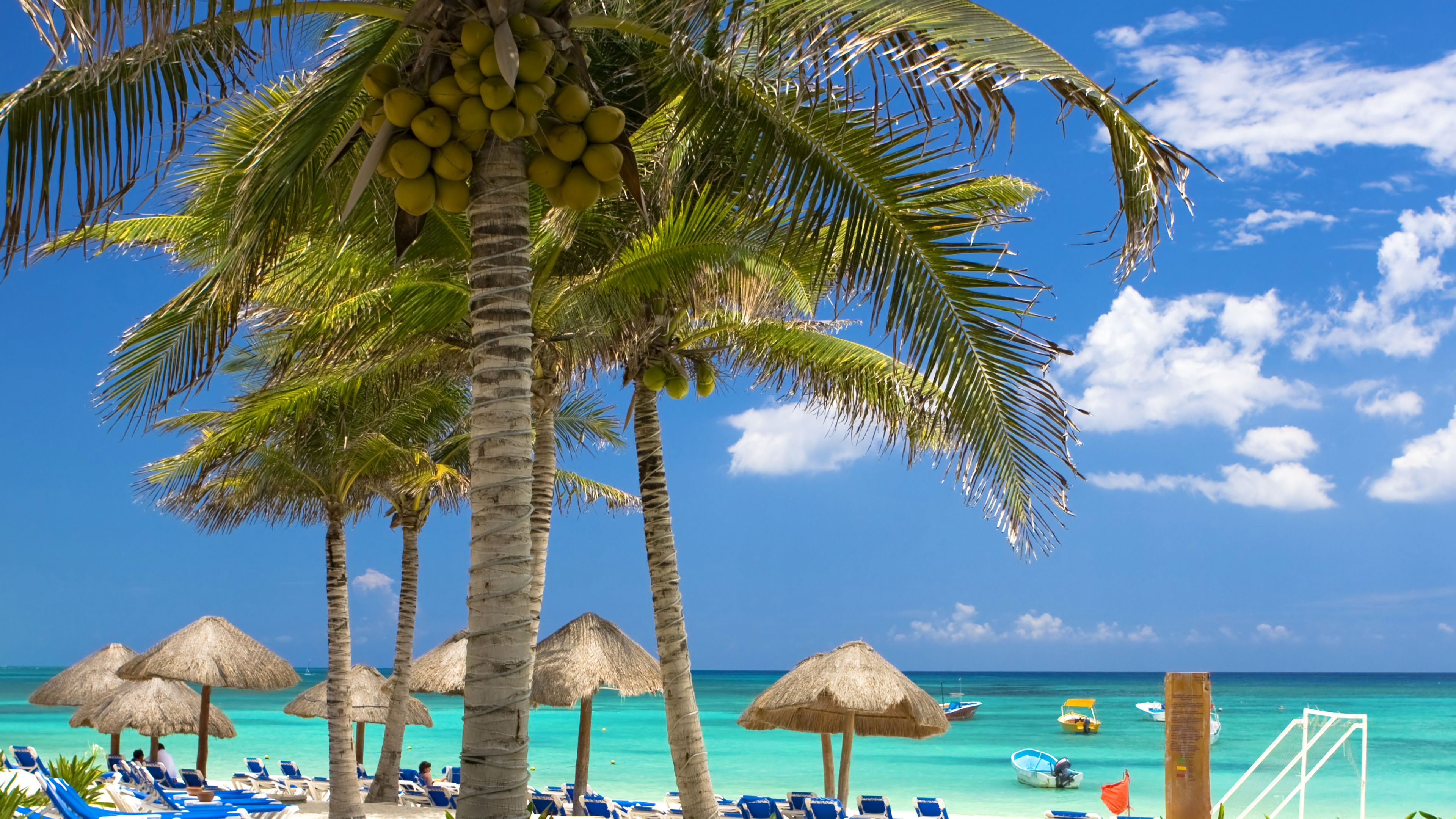 Обои Карибский бассейн, пляж, прибежище, дерево, тропическая зона в разрешении 3840x2160