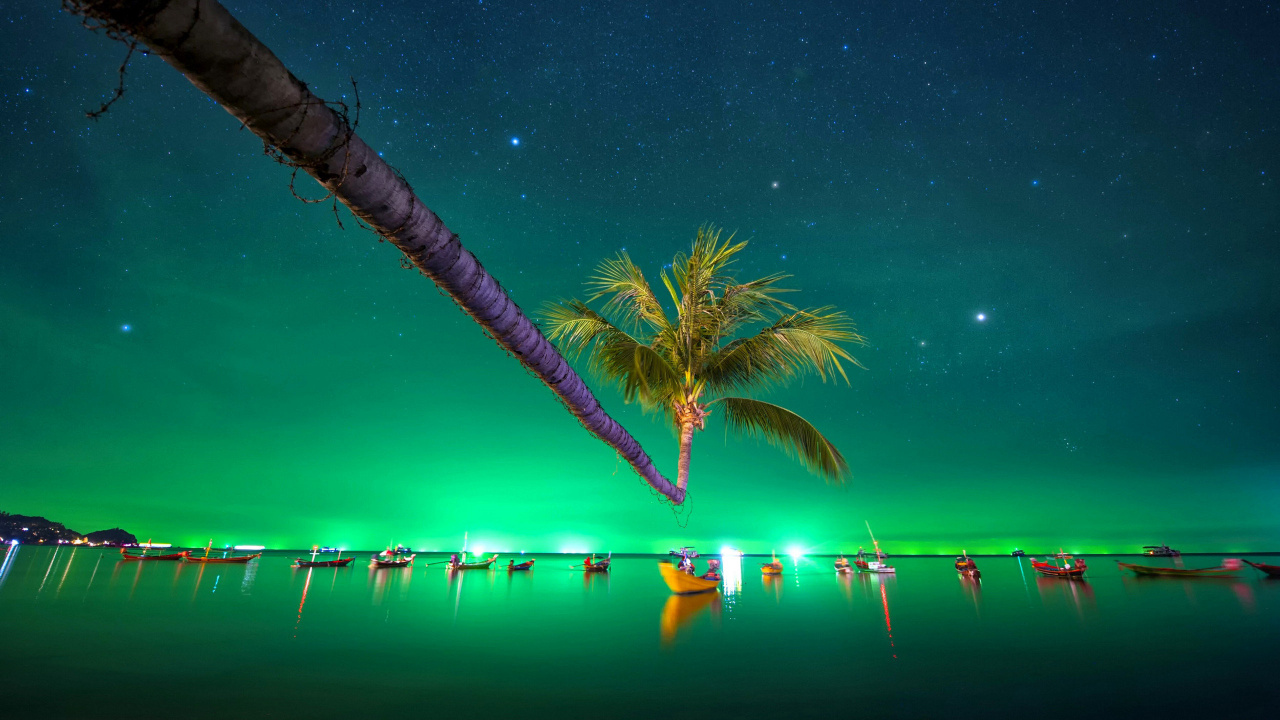 Обои тропическая ночь, ночь, природа, зеленый, Аврора в разрешении 1280x720