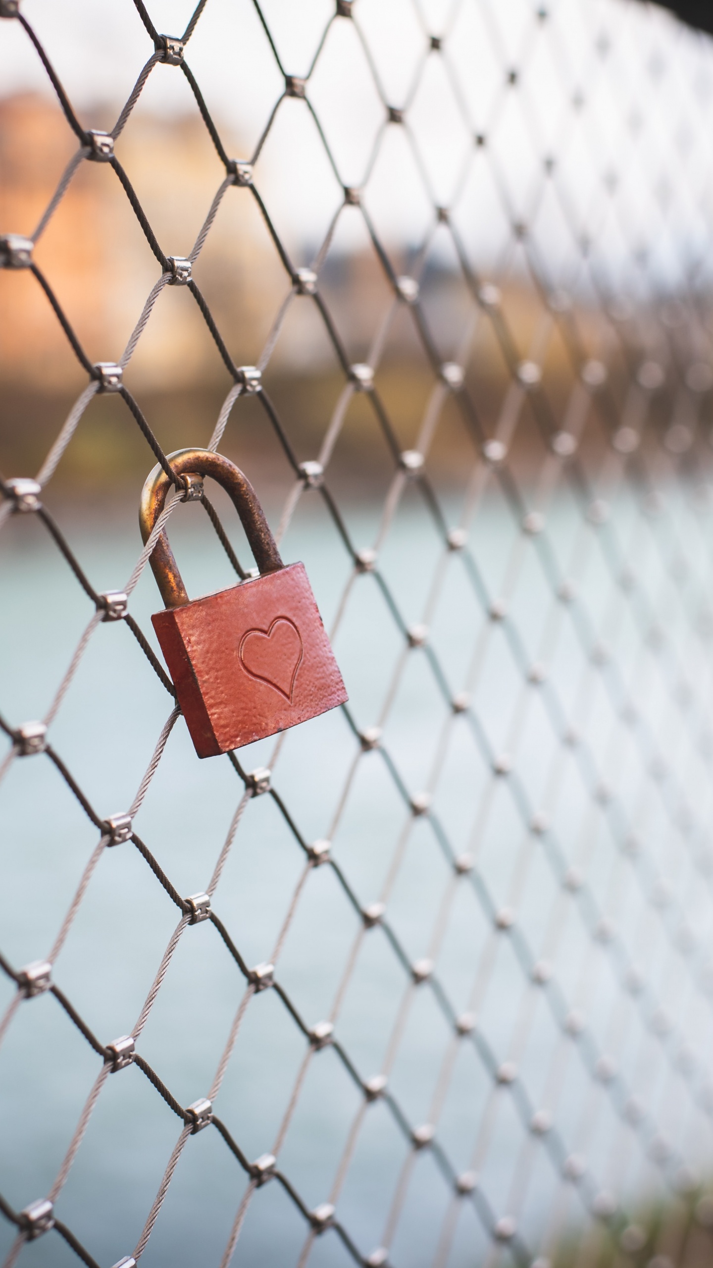 Обои замок навесной, Дома фехтование, атрибуция, звено цепи ограждая, провод в разрешении 1440x2560