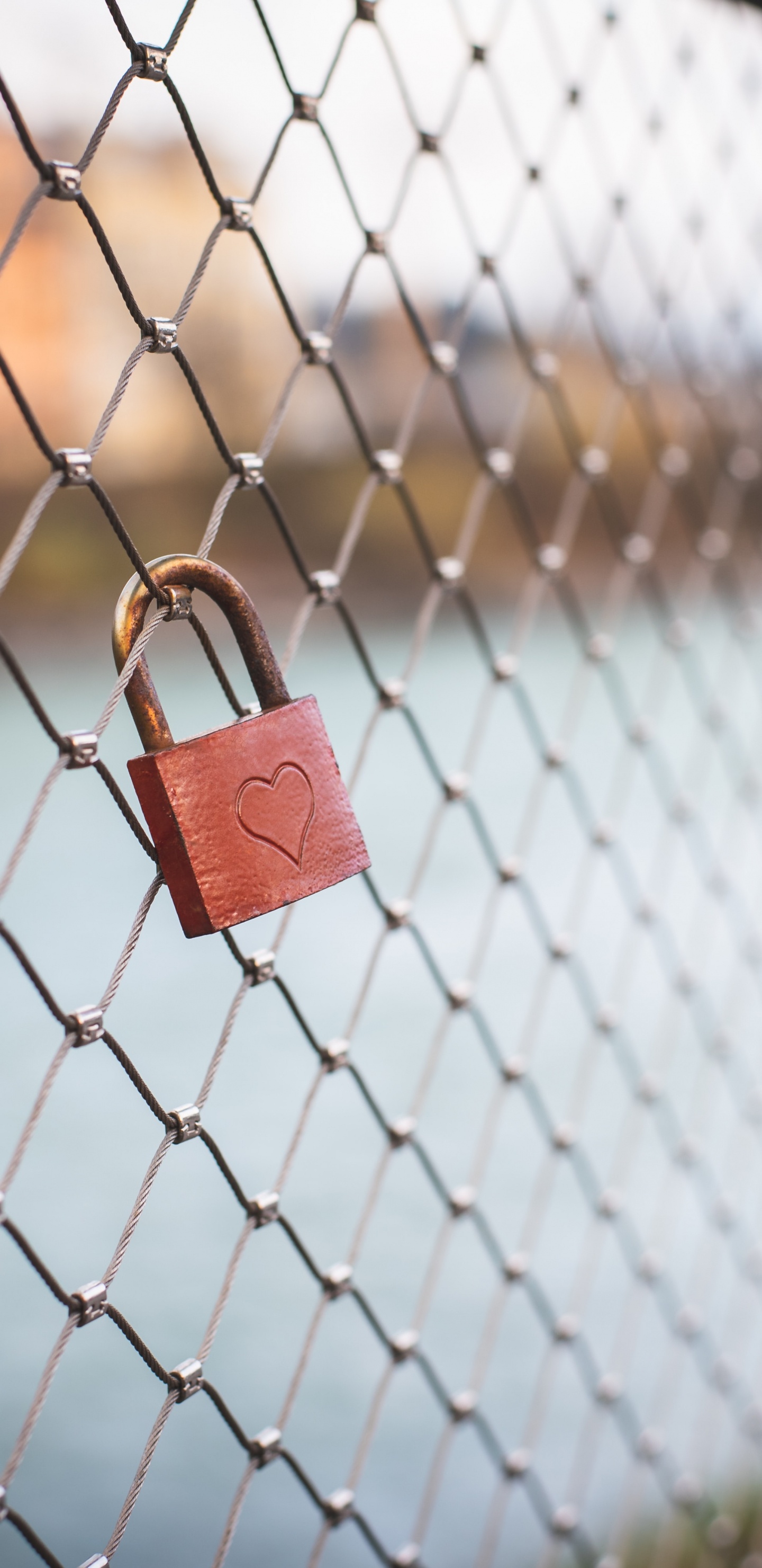 Обои замок навесной, Дома фехтование, атрибуция, звено цепи ограждая, провод в разрешении 1440x2960