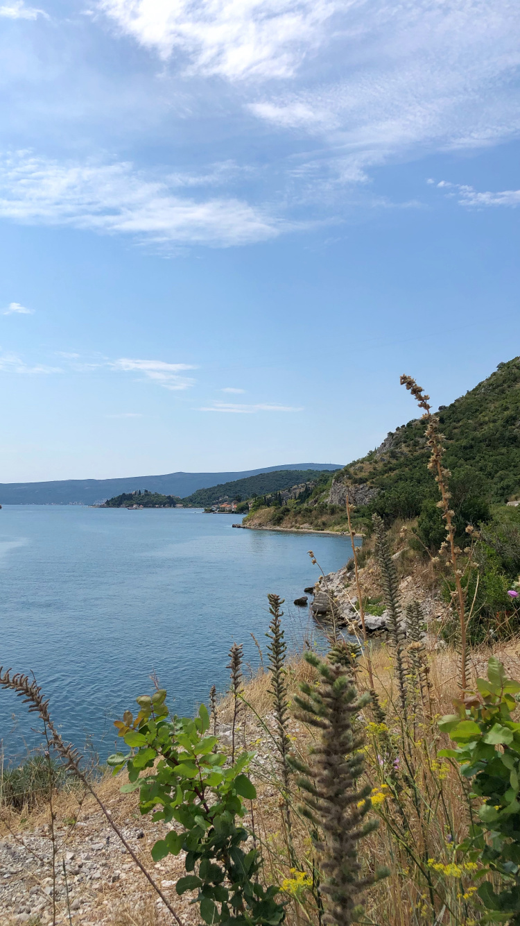 Обои побережье, вода, водный путь, Банк, водохранилище в разрешении 750x1334