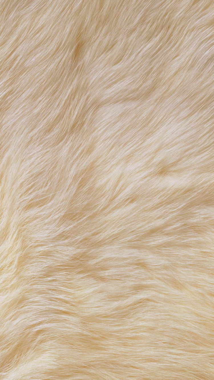 Обои мех, цвет беж, древесина, пол, крупный план в разрешении 750x1334