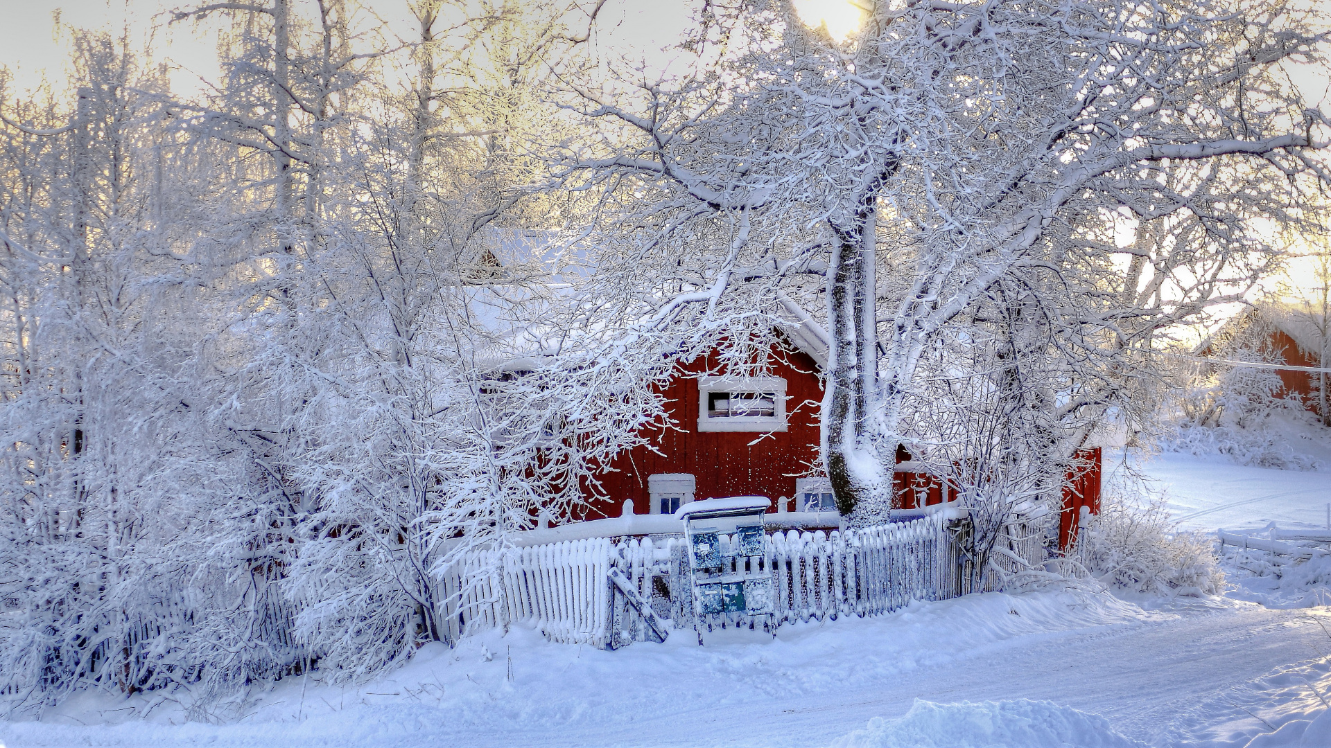 Обои снег, зима, мороз, замораживание, дерево в разрешении 1920x1080