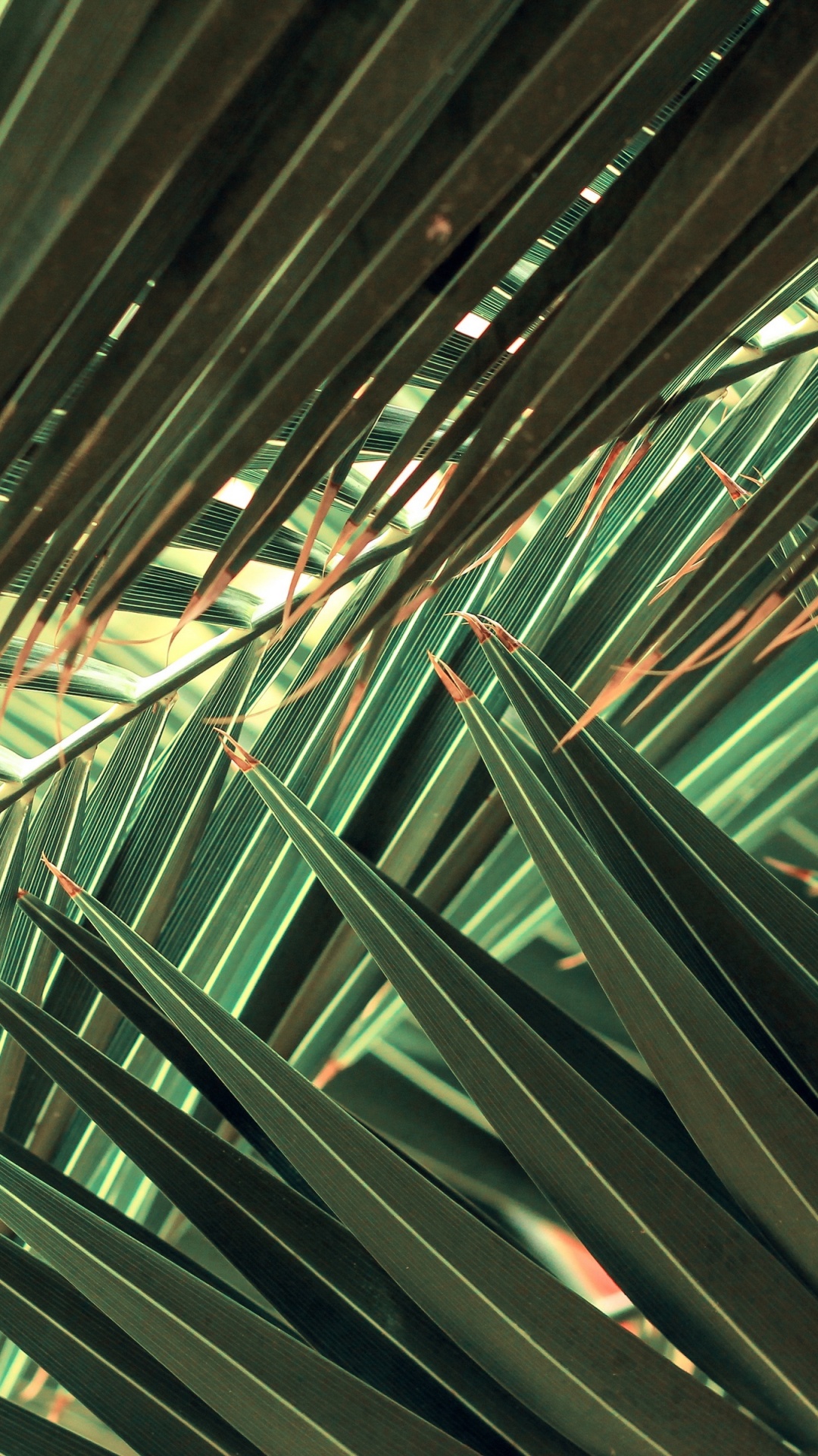 Обои зеленый, линия, архитектура, металл, рассада в разрешении 1080x1920