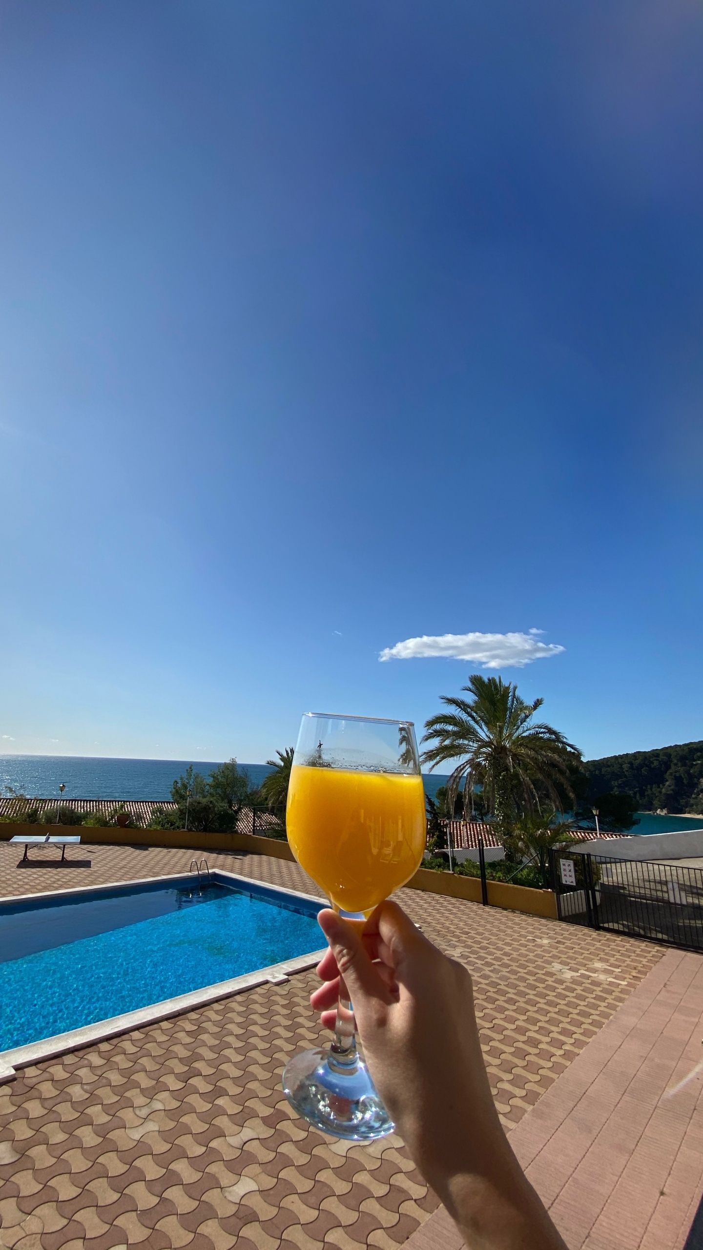 Обои Испания, вода, плавательный бассейн, напиток, сок в разрешении 1440x2560
