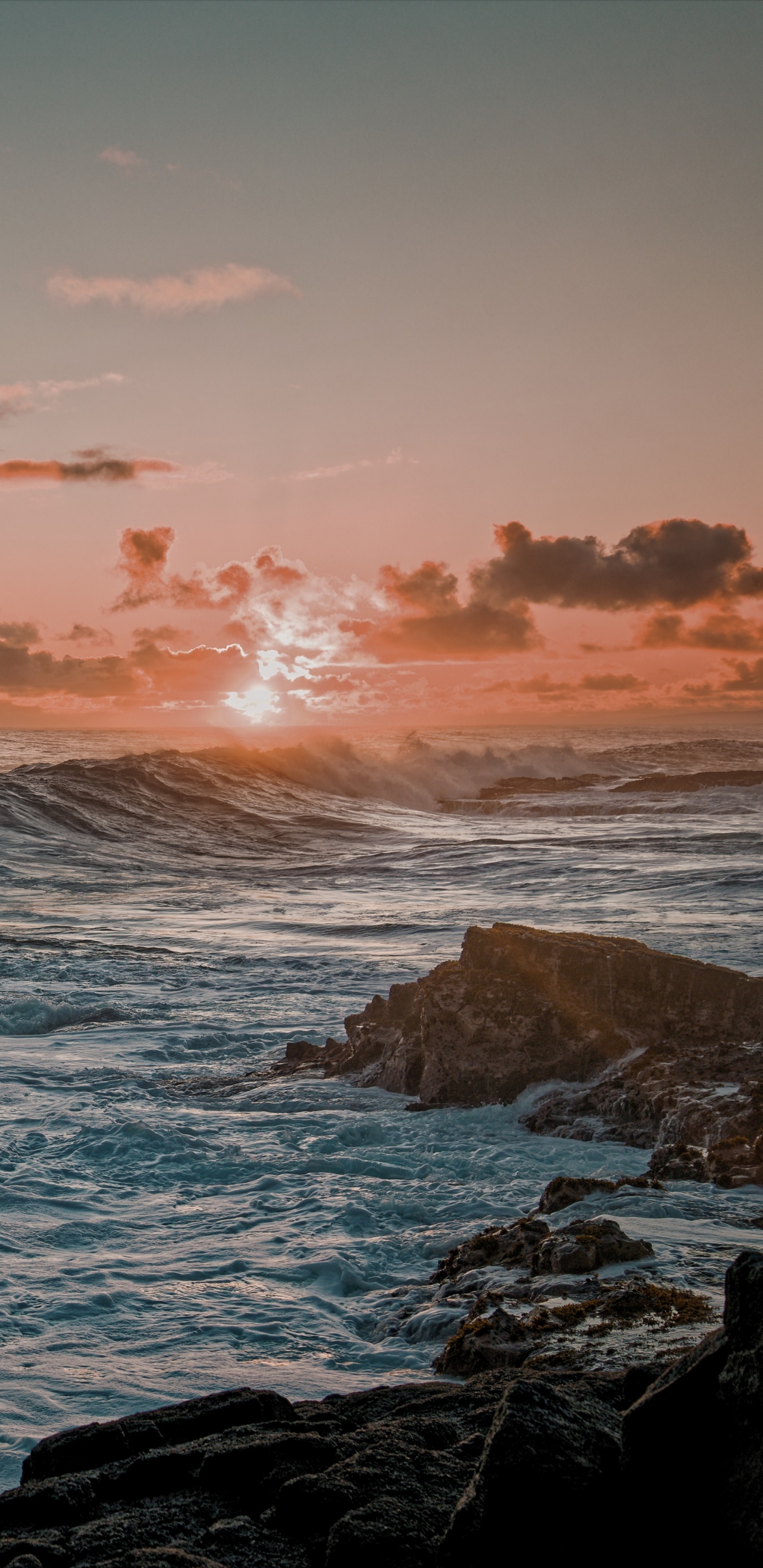 Обои океан, горизонт, мыс, природа, водоем в разрешении 1440x2960