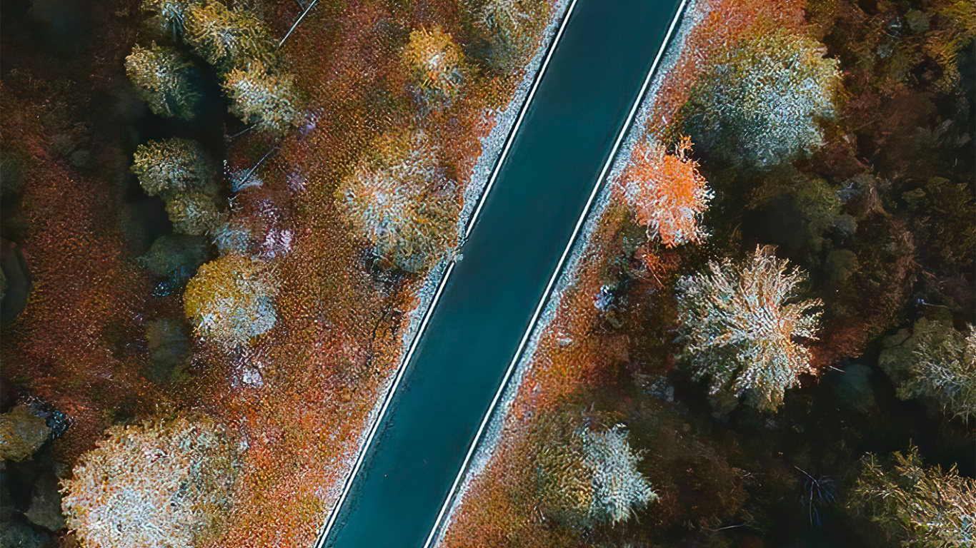 Обои подземные воды, коралловый риф, морская биология, растение, окружающая среда в разрешении 1366x768