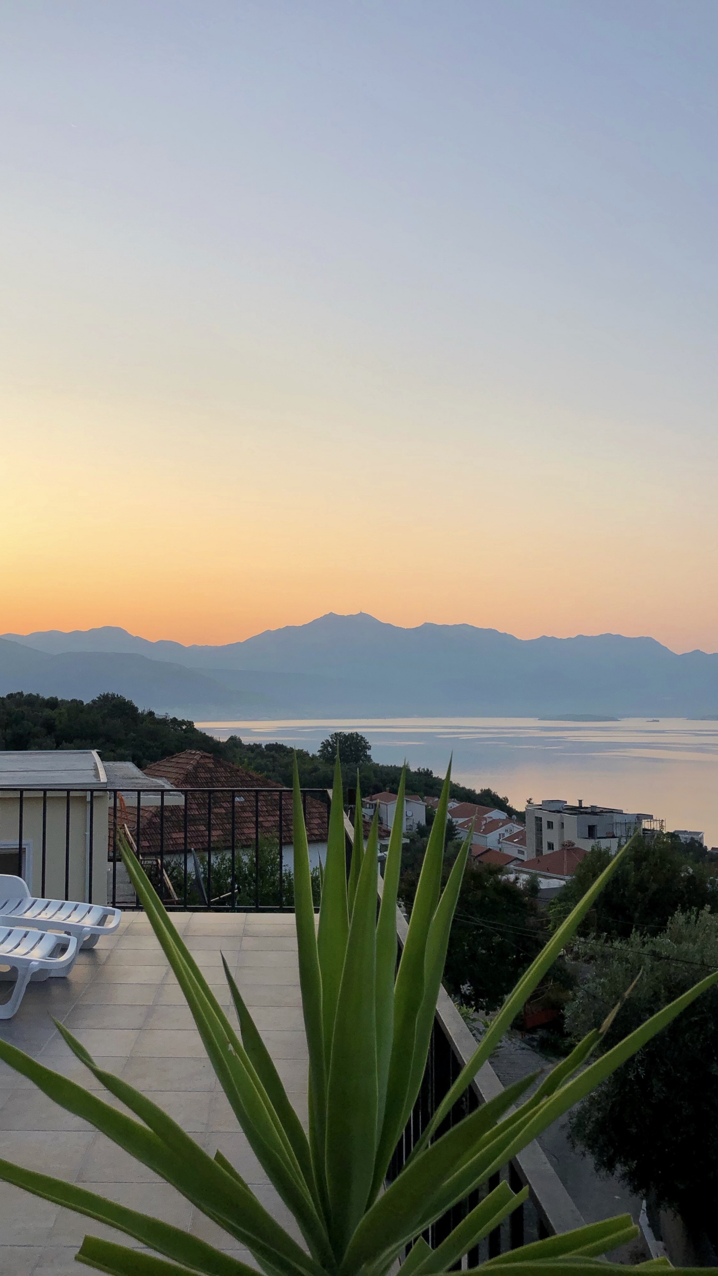 Обои пальмовые рощи, недвижимость, вода, свойство, сумрак в разрешении 1440x2560