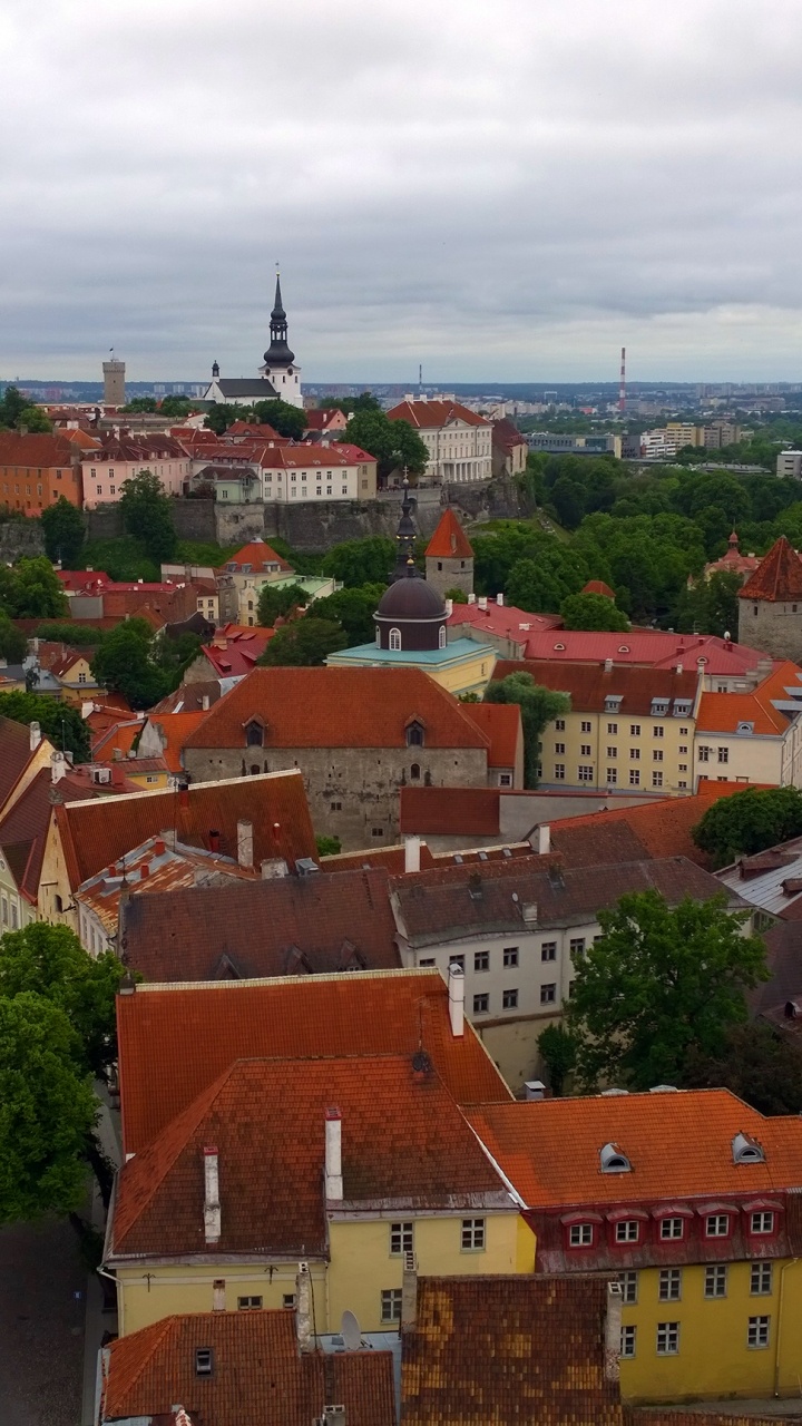 Обои жилой район, городской район, панорама, векторная графика, небо в разрешении 720x1280