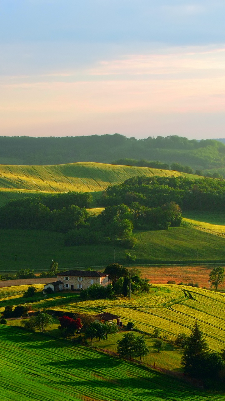 Обои сенокосное угодье, поле, холм, равнина, нагорье в разрешении 720x1280