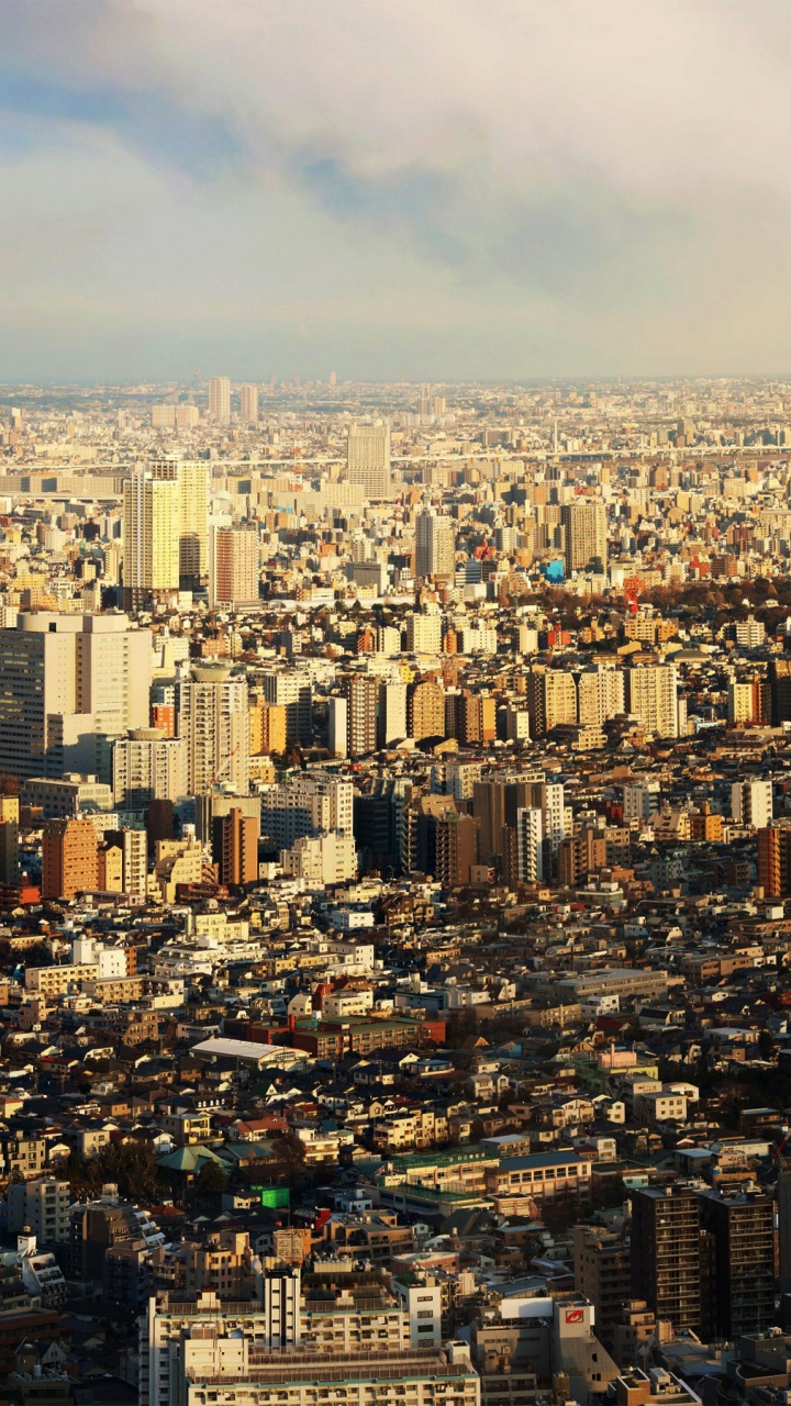 Обои небоскреб, городской пейзаж, городской район, город, метрополия в разрешении 720x1280