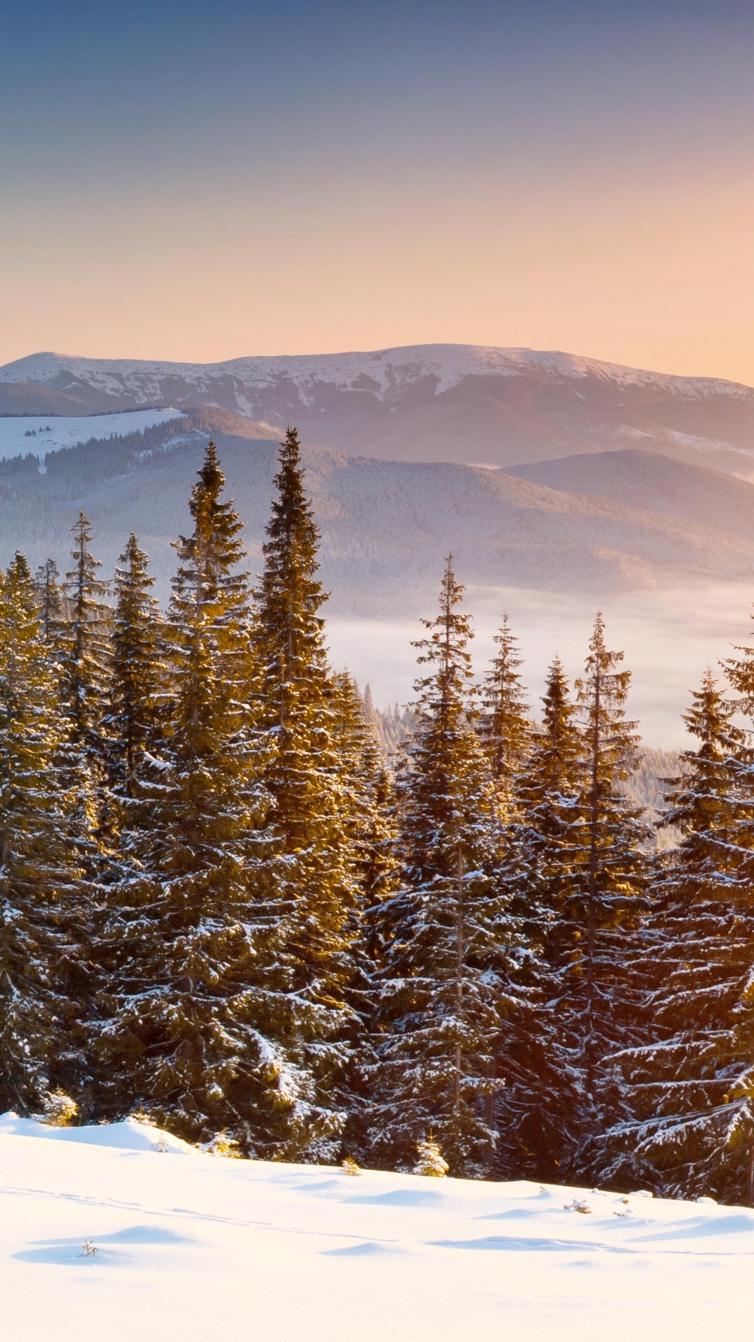 Обои снег, зима, дерево, гора, горный рельеф в разрешении 1080x1920